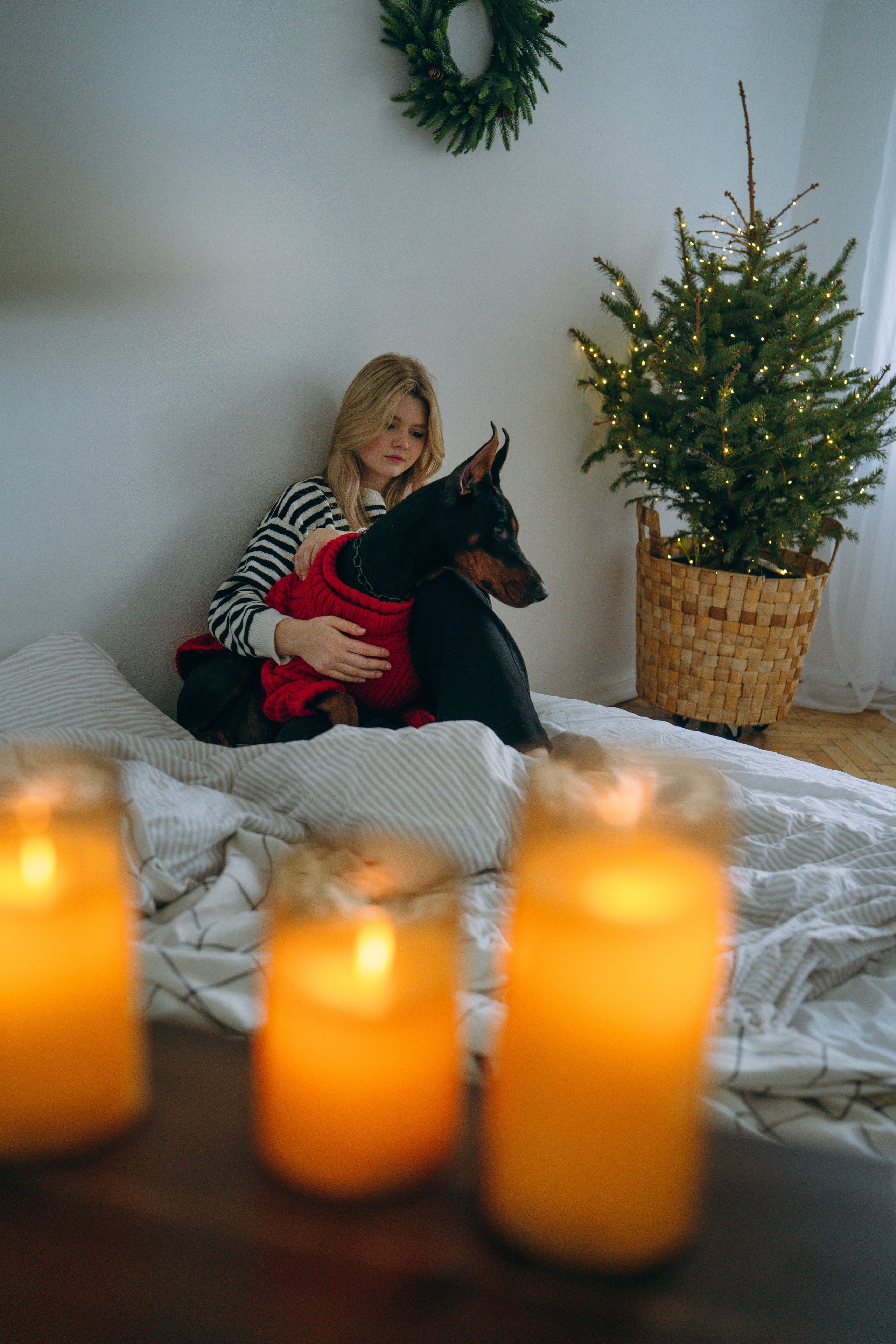Саша и Асти. Фотограф анималист в Москве и Санкт-Петербурге Свиридова Анна