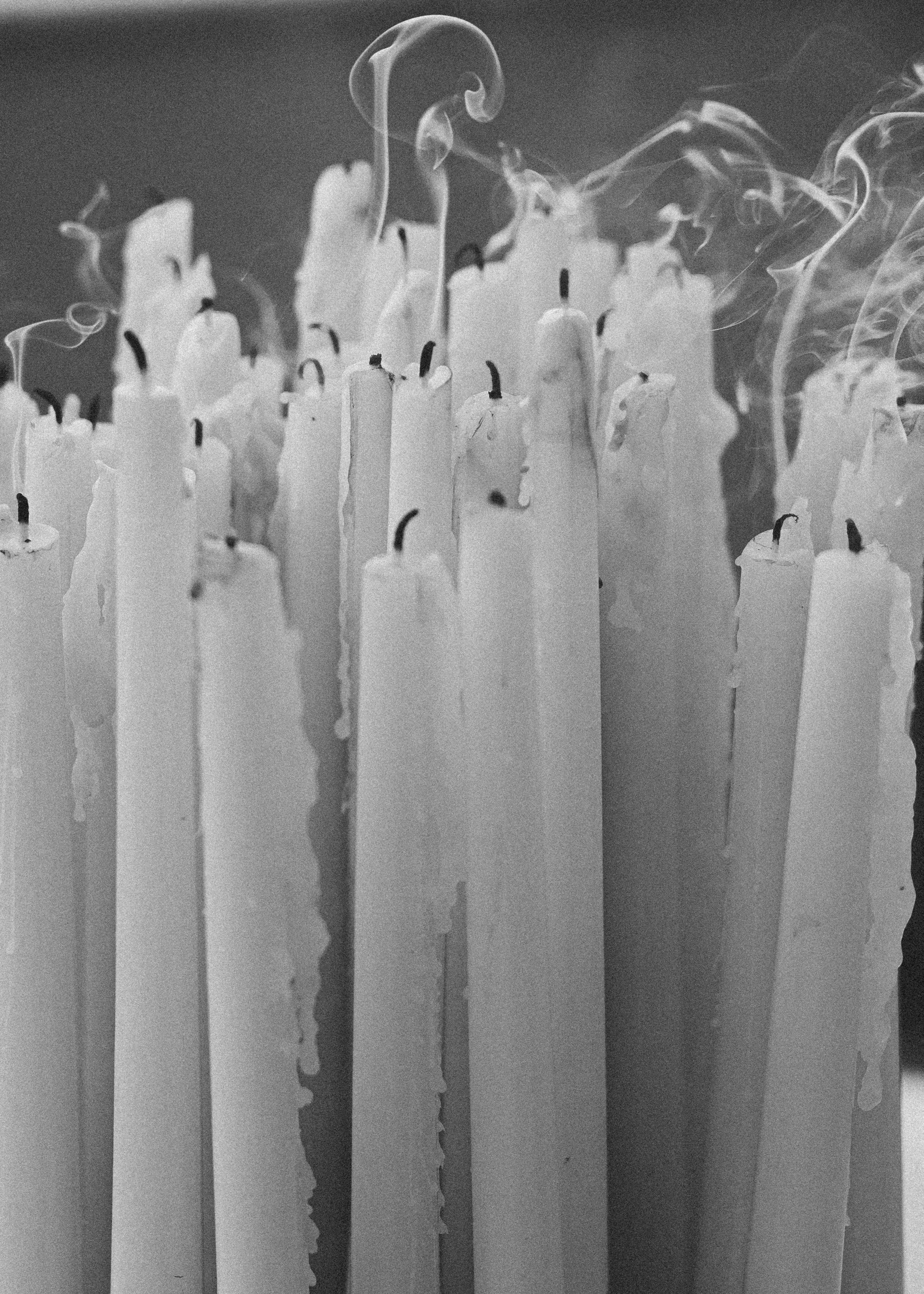 Sorrento, Villa Aster. Galina and Nikita Bykovets, a wedding photographer and videographer duo in Germany