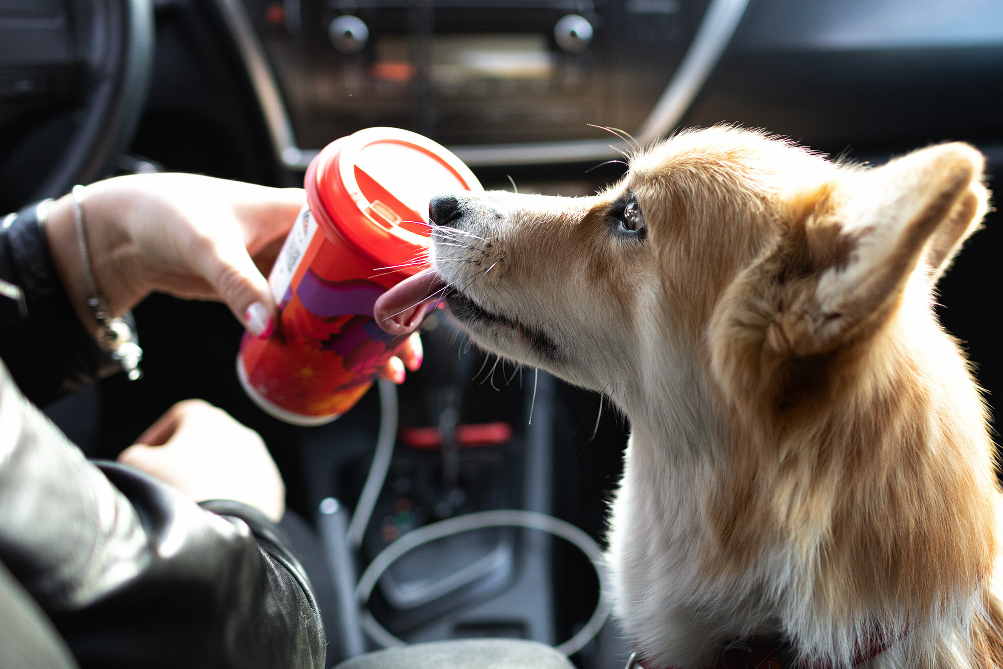 Отзывы. Фотограф Анастасия Ветковская, Москва