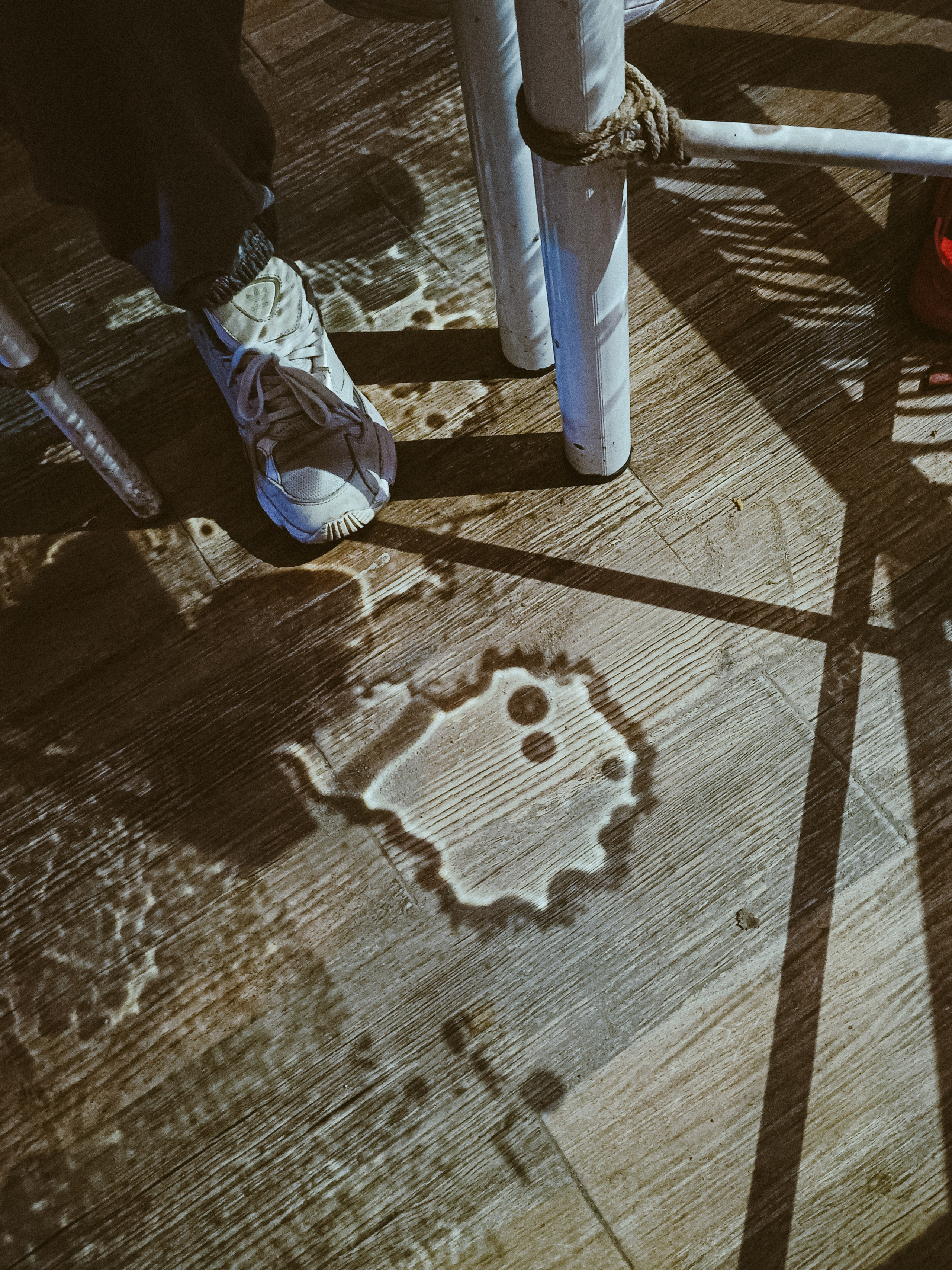 Мобильная. Jorgis — фотограф в Хургаде / обучение фотографии