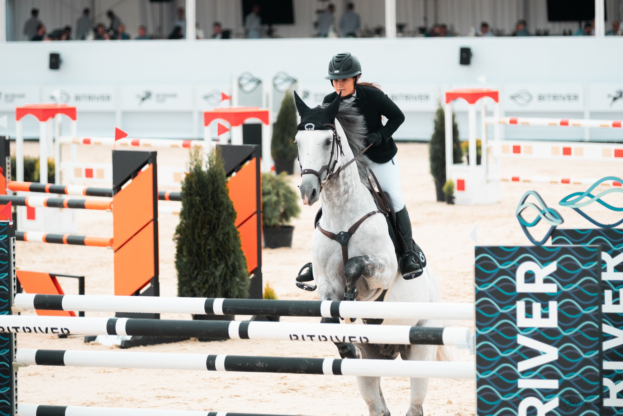 BITRIVER CUP 2023. Конный фотограф Куракина Дарья • Фотосессии с лошадьми