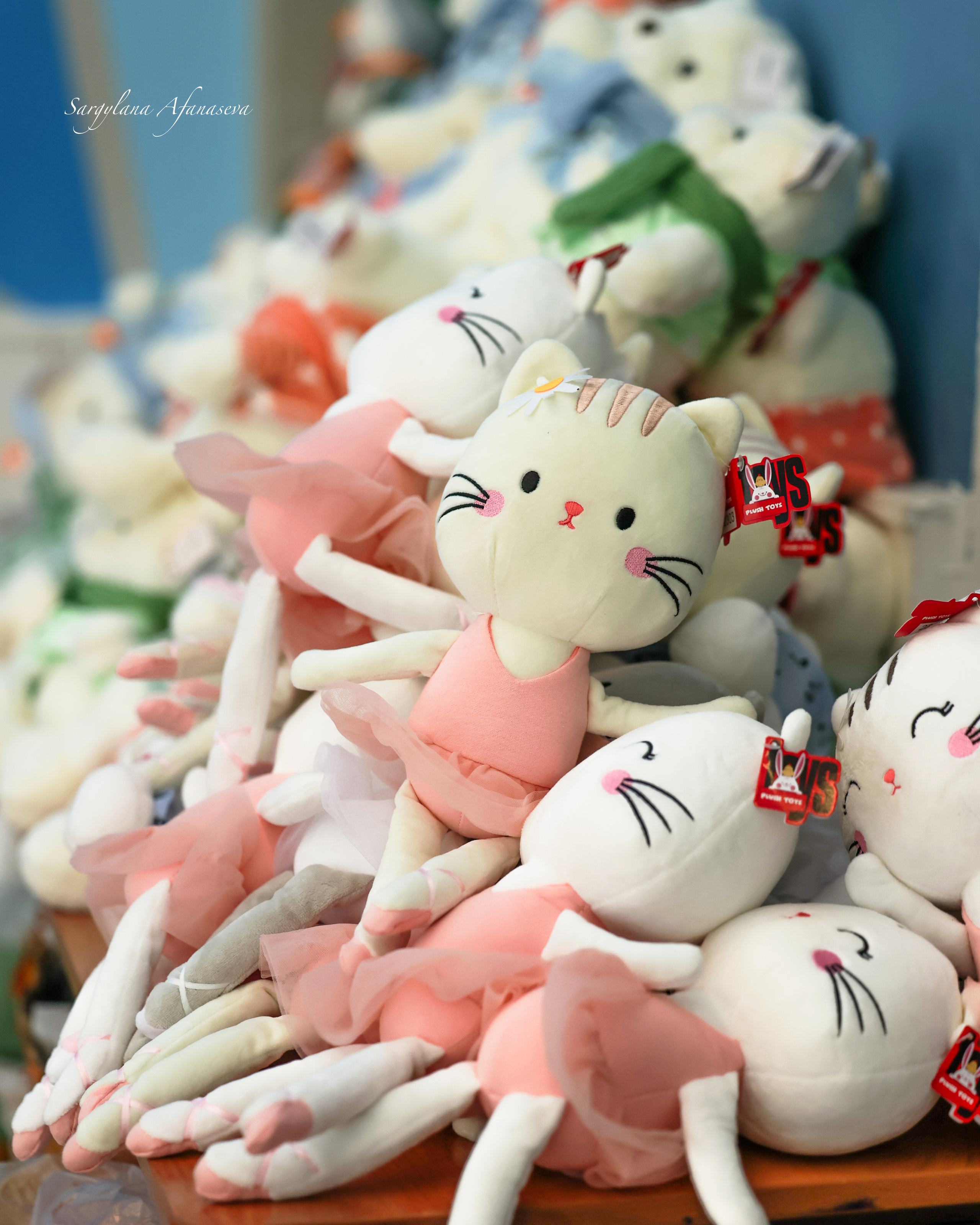 Открытый городской турнир «Сияй» 18–19 февраля 2023. Саргылана Афанасьева