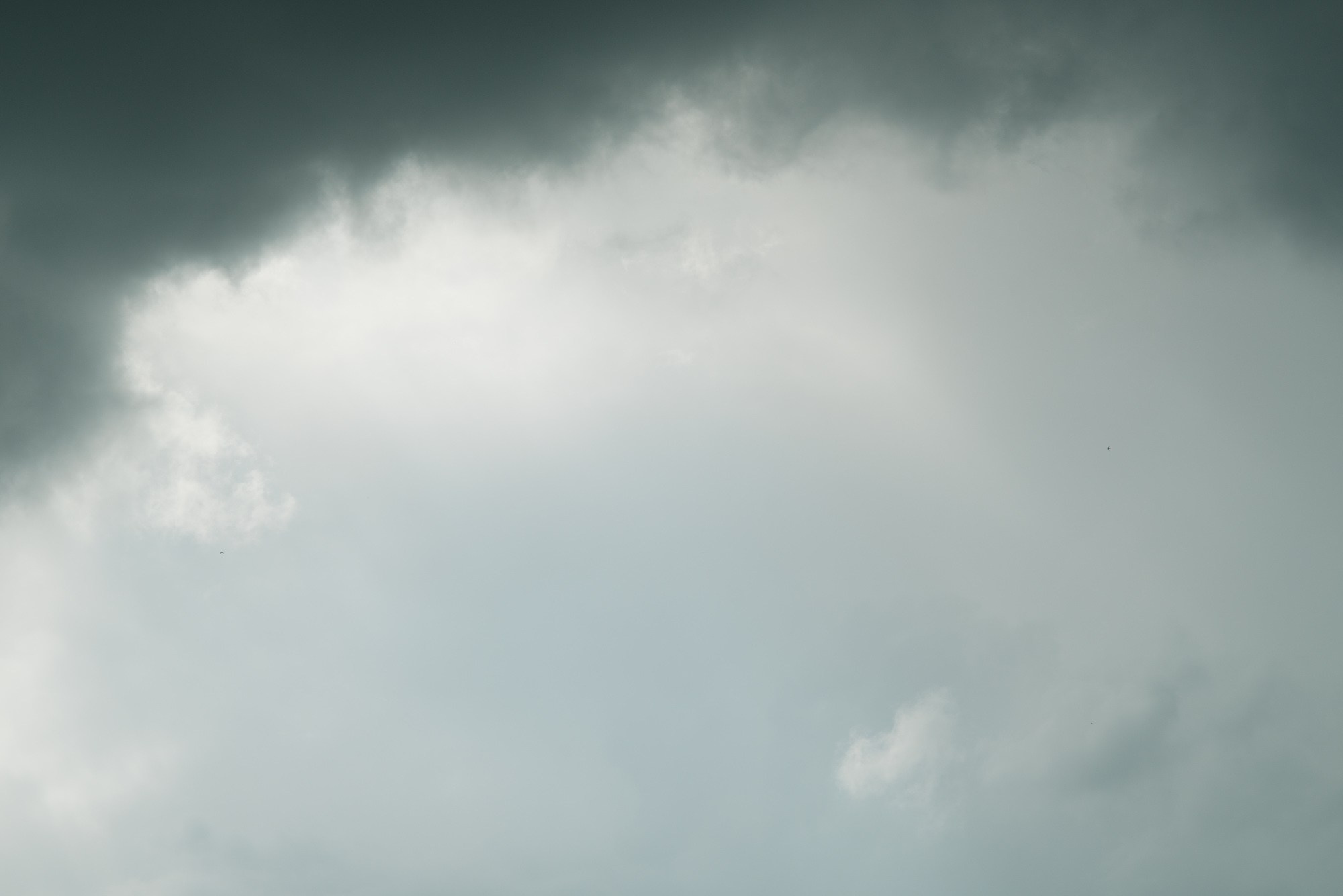 Formations. Пётр Антонов