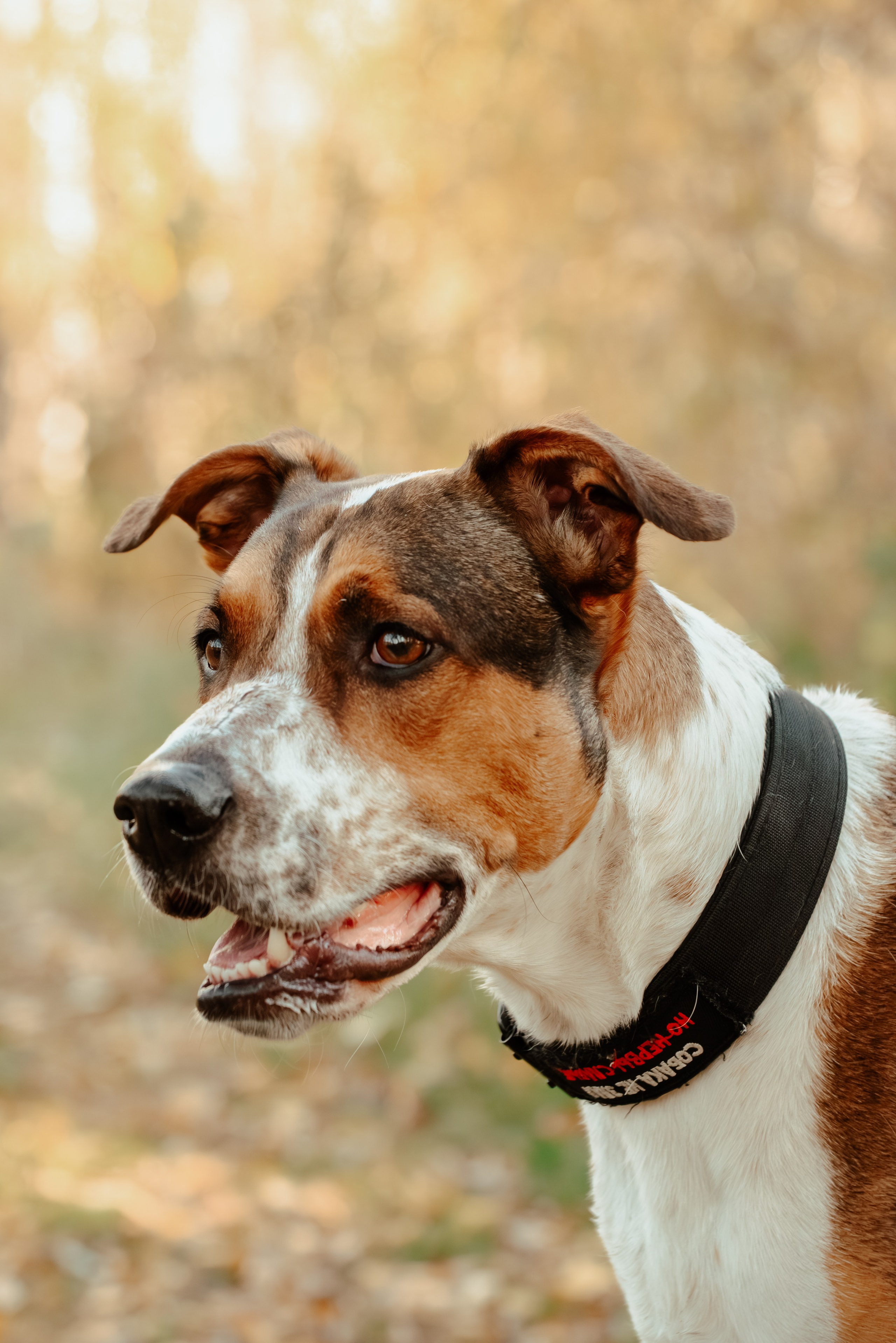 Фотосессии. Михаил Кругов | Фотограф