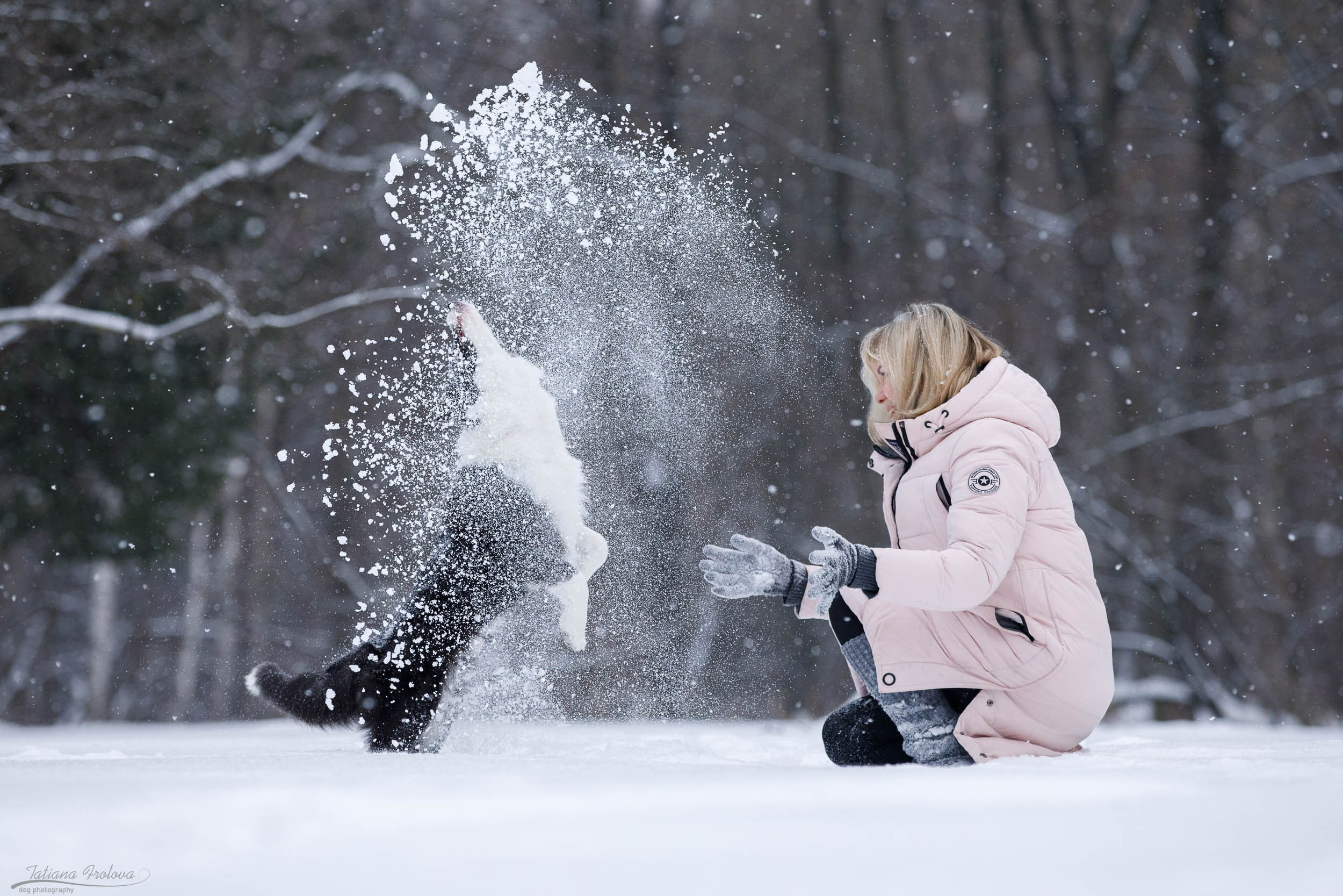 Фотосессия бордер-колли в парке. Фотограф-анималист в Москве и Московской области Татьяна Фролова