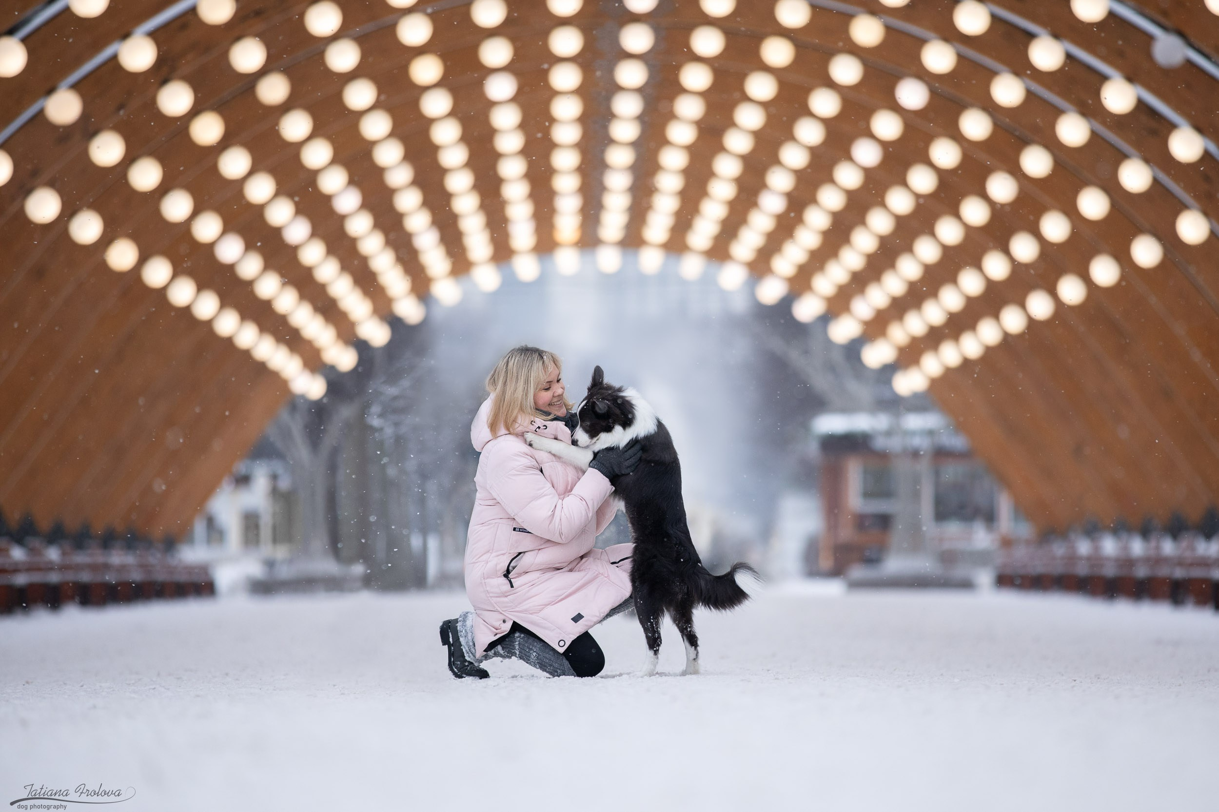 Фотосессия бордер-колли в парке. Фотограф-анималист в Москве и Московской области Татьяна Фролова