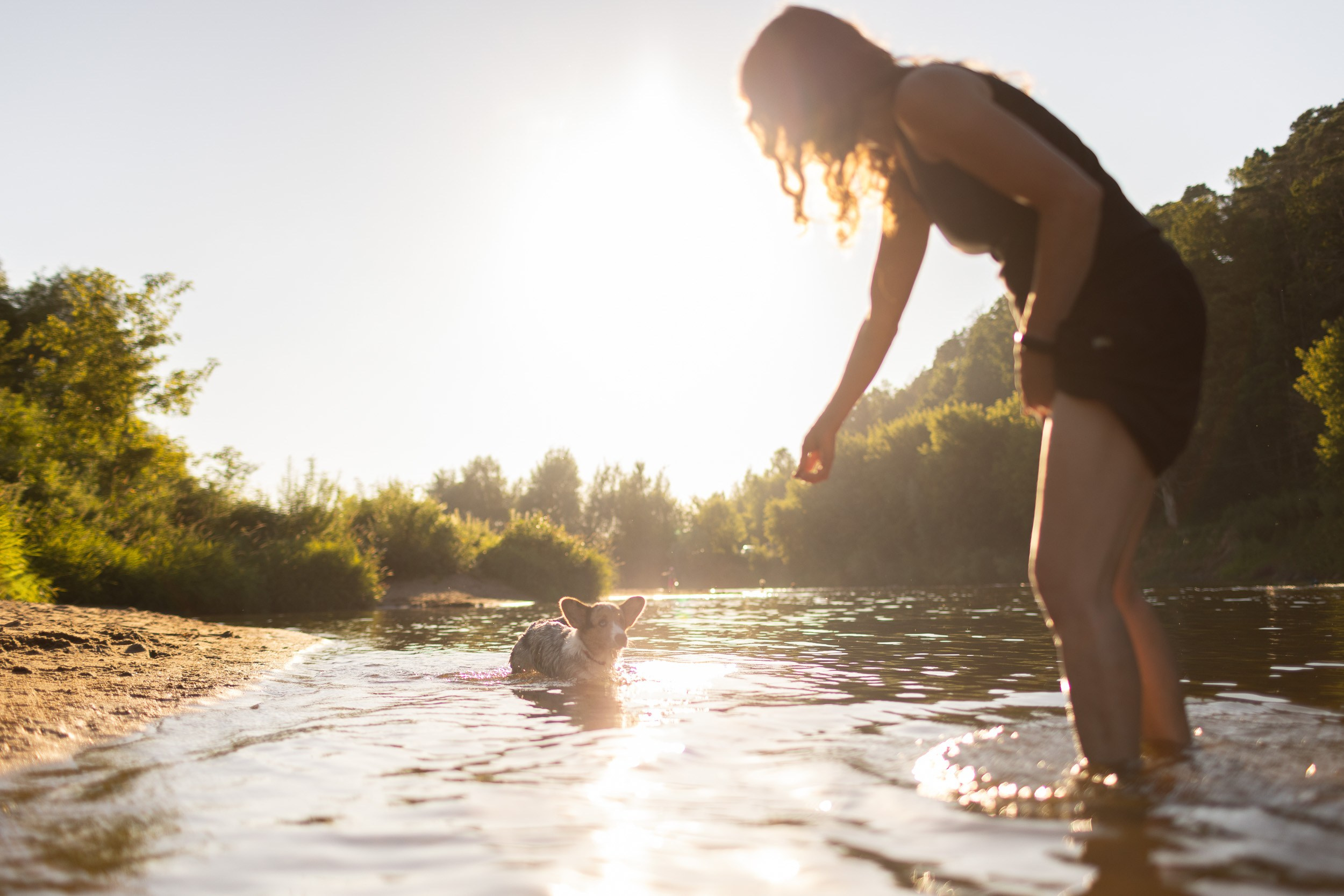 Купание щенков в стиле лайфстайл. Фотограф-анималист в Москве и Московской области Татьяна Фролова