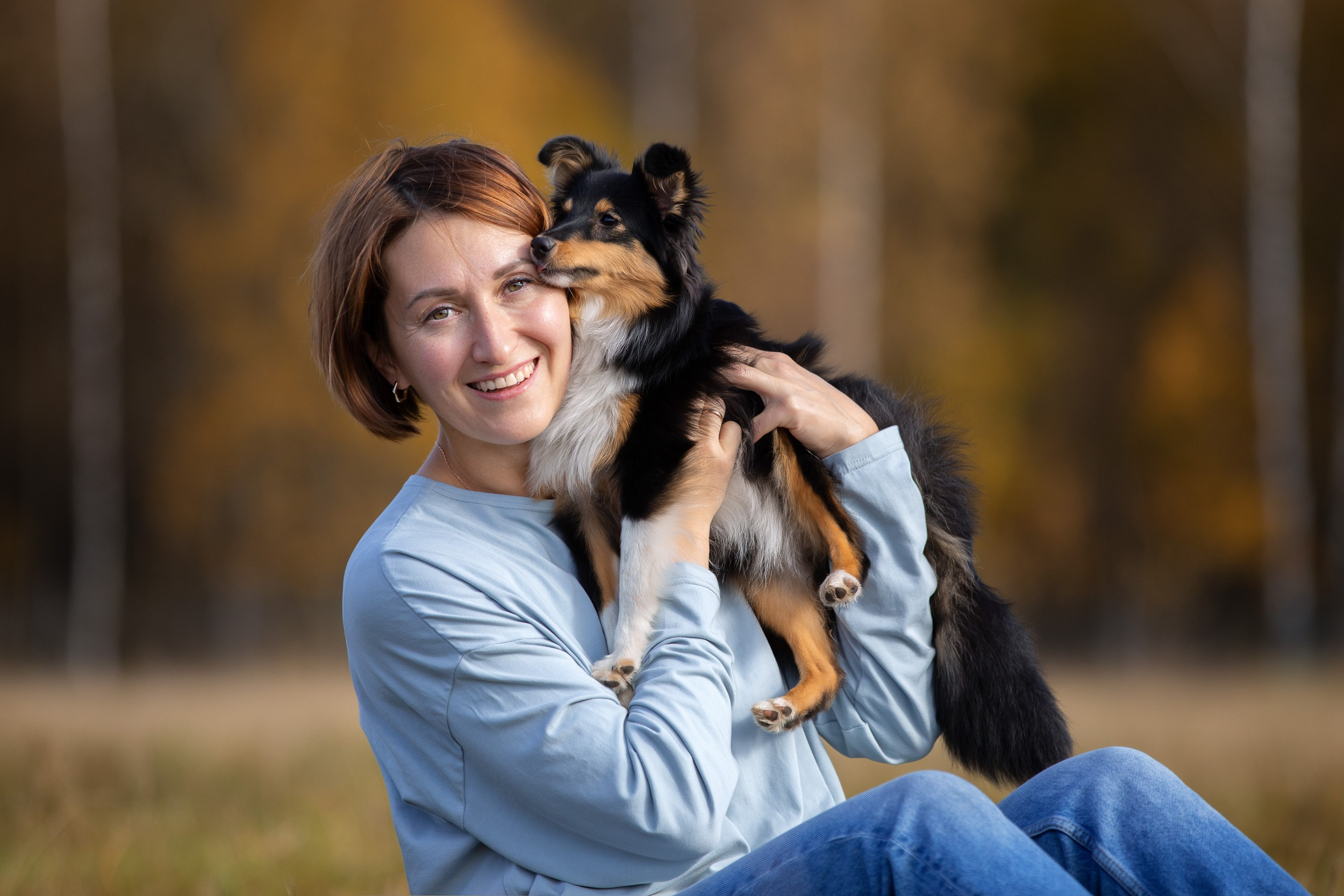 Мини фотосъемка с щенком шелти. Фотограф-анималист в Москве и Московской области Татьяна Фролова