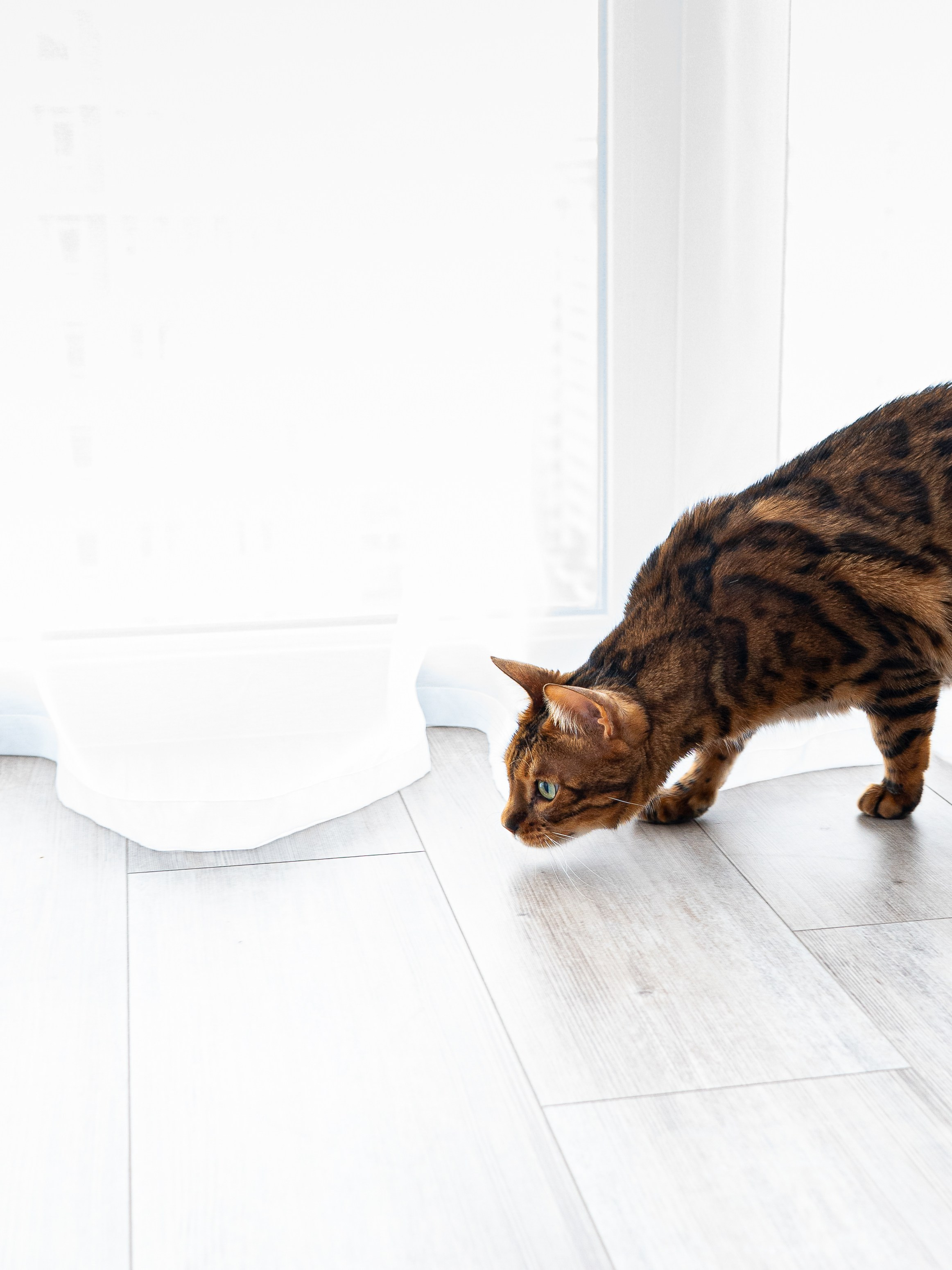 Съёмка для соцсетей. Предметное видео для маркетплейсов и брендов