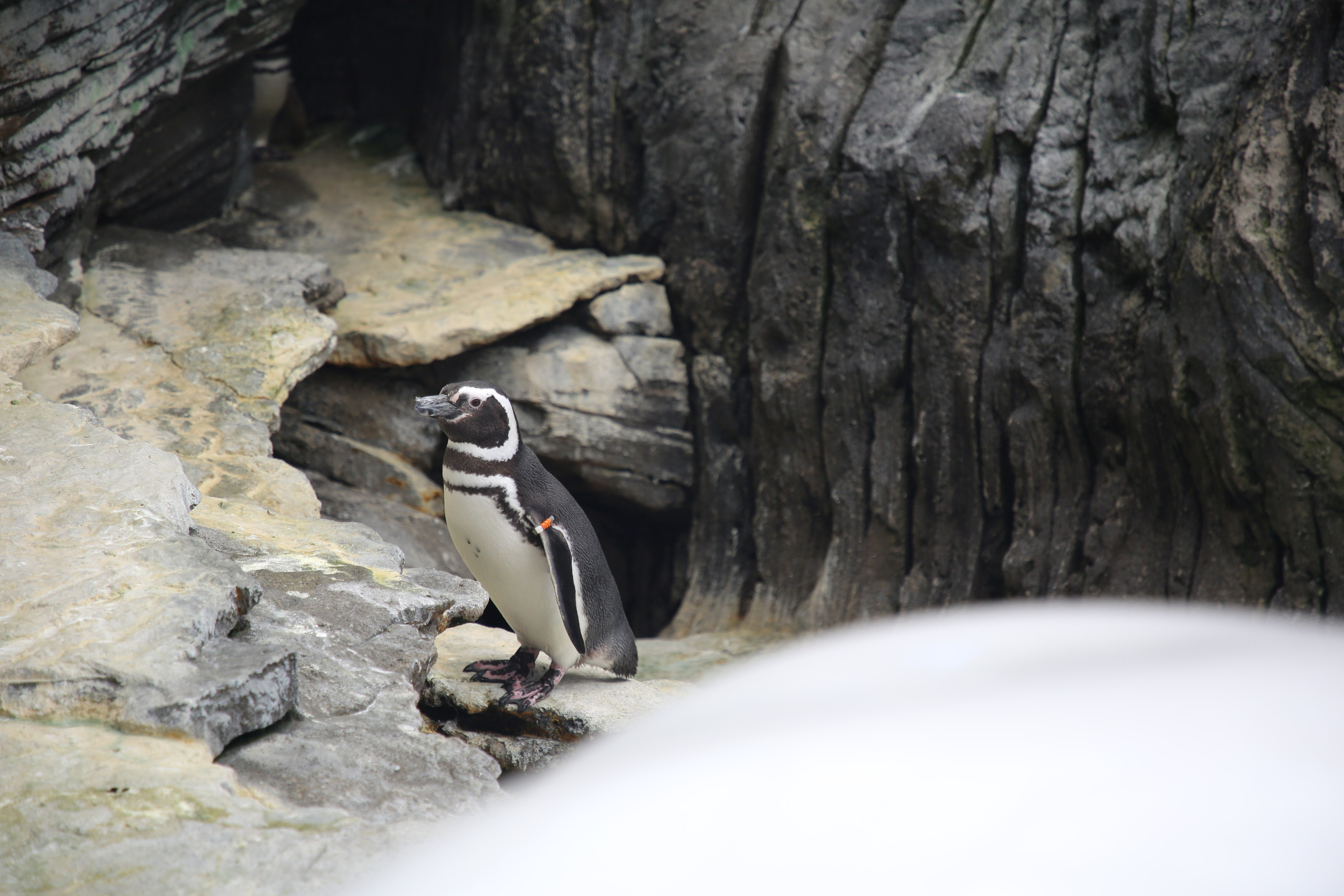 Lisbon, Portugal. Andrey Filippov Photographer