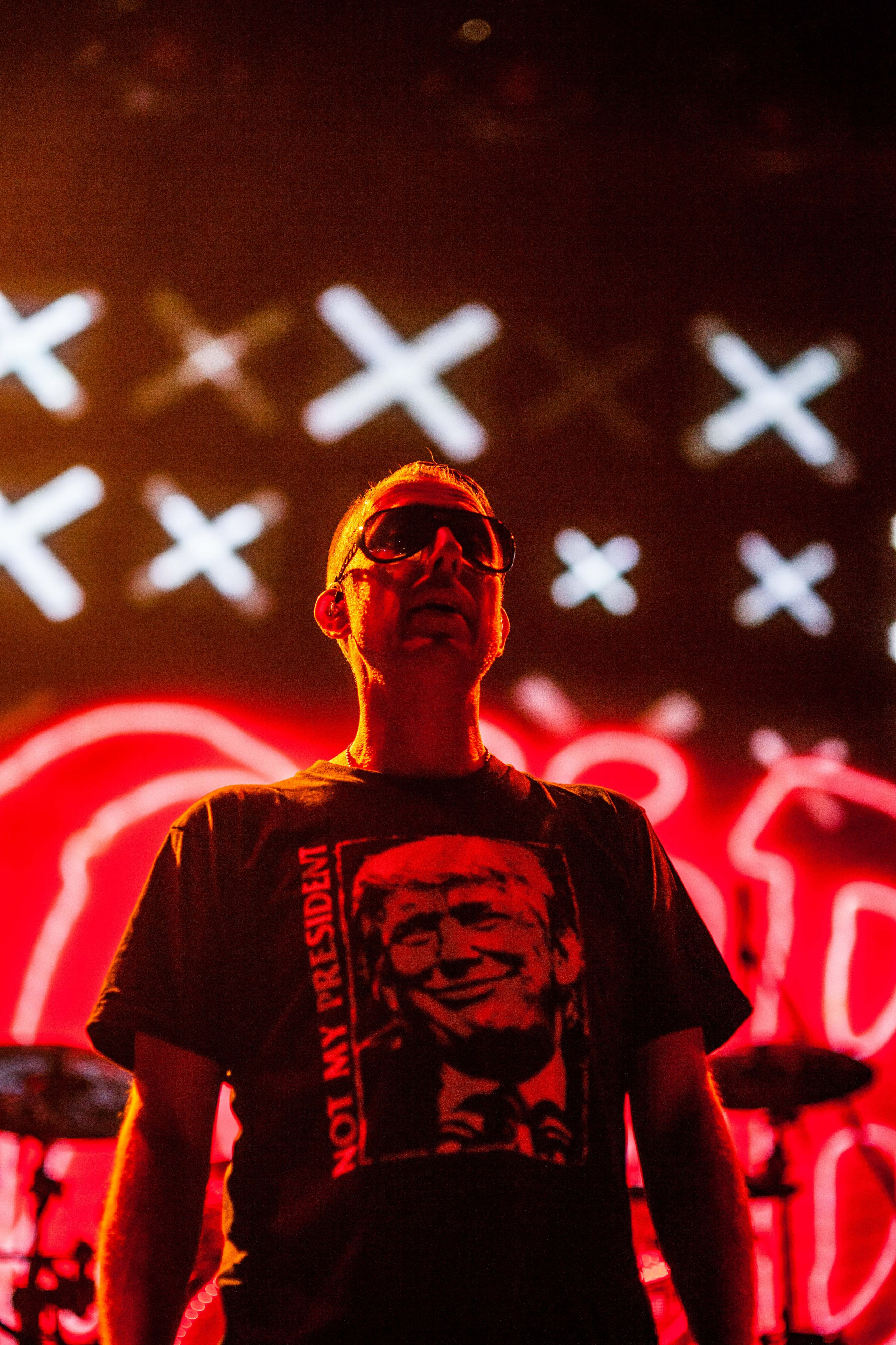 Группа Наив. Твой фотограф — Полосатый кот