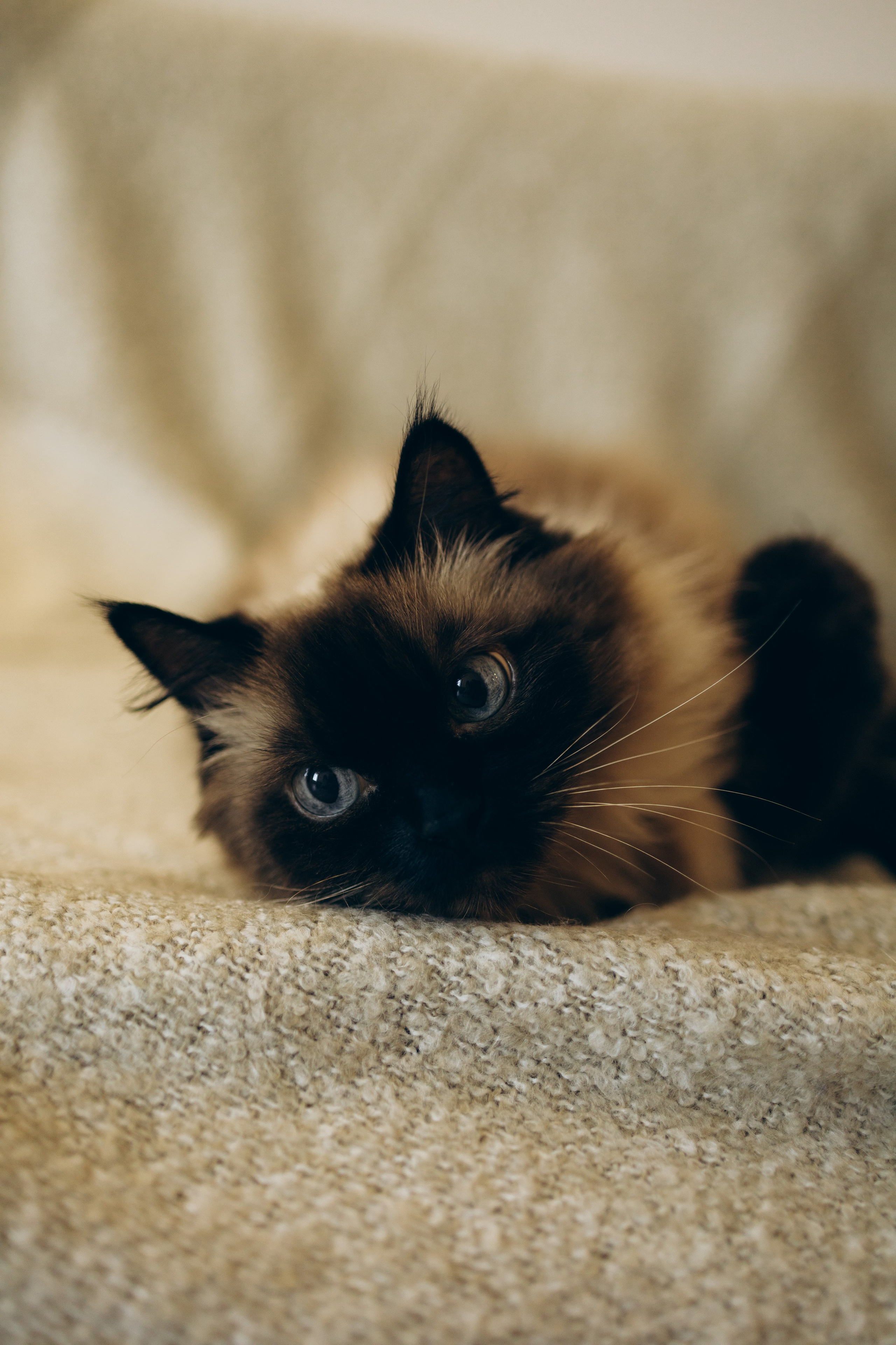 Домашняя уютная семейная фотосессия. Семейный и детский фотограф в Санкт-Петербурге Павлова Елена