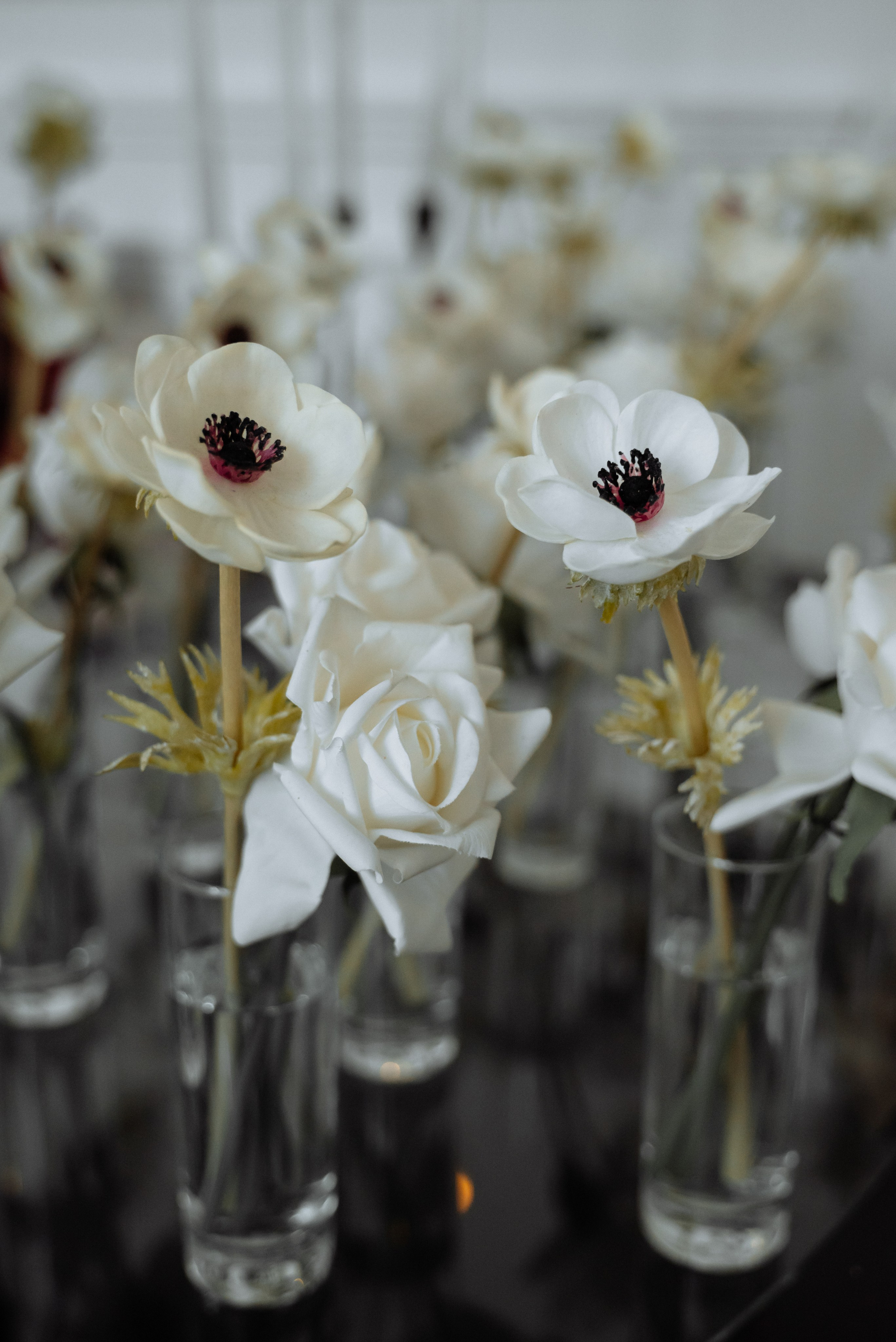 Вероника и Эдуард. Фотограф Славянск на кубани Краснодар