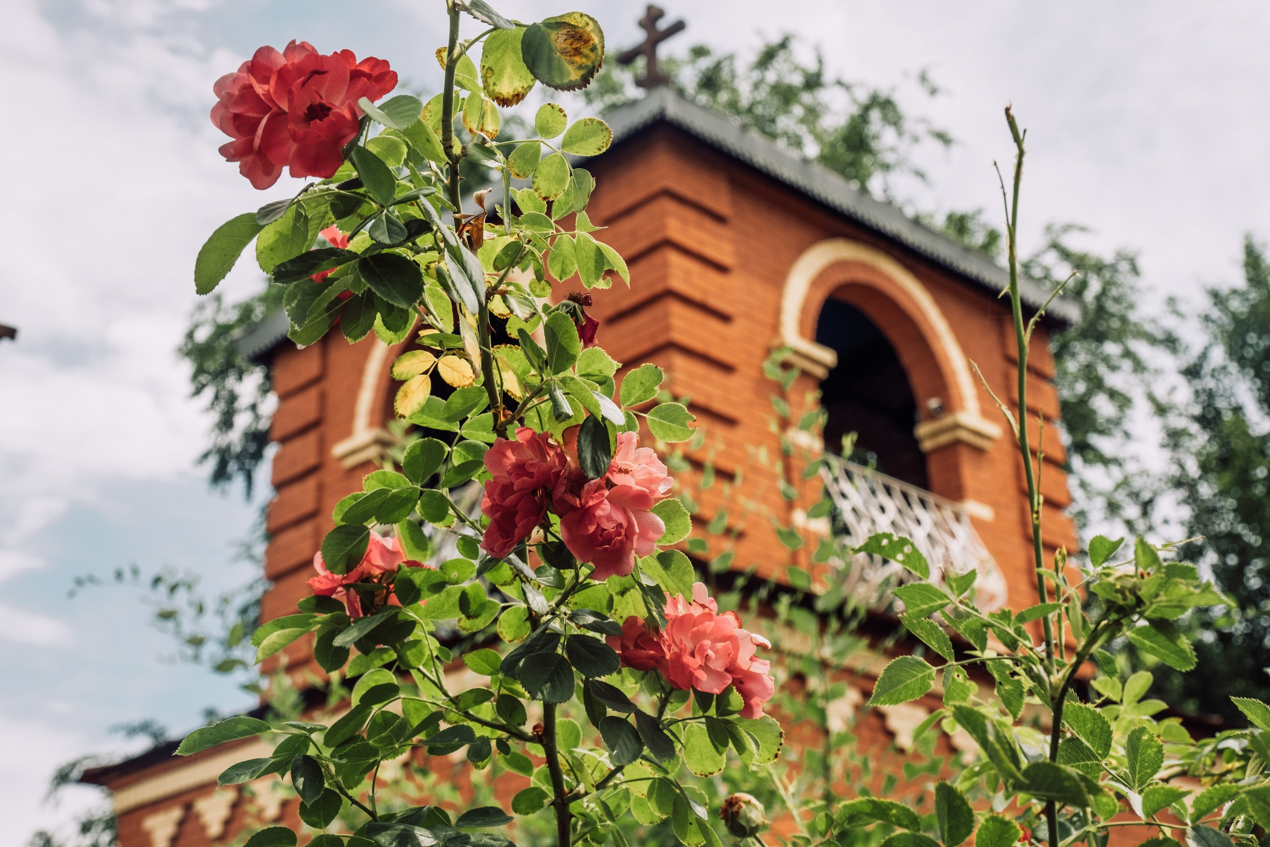 Иоанно-предтеченский монастырь. Фотограф Анатолий Деникин