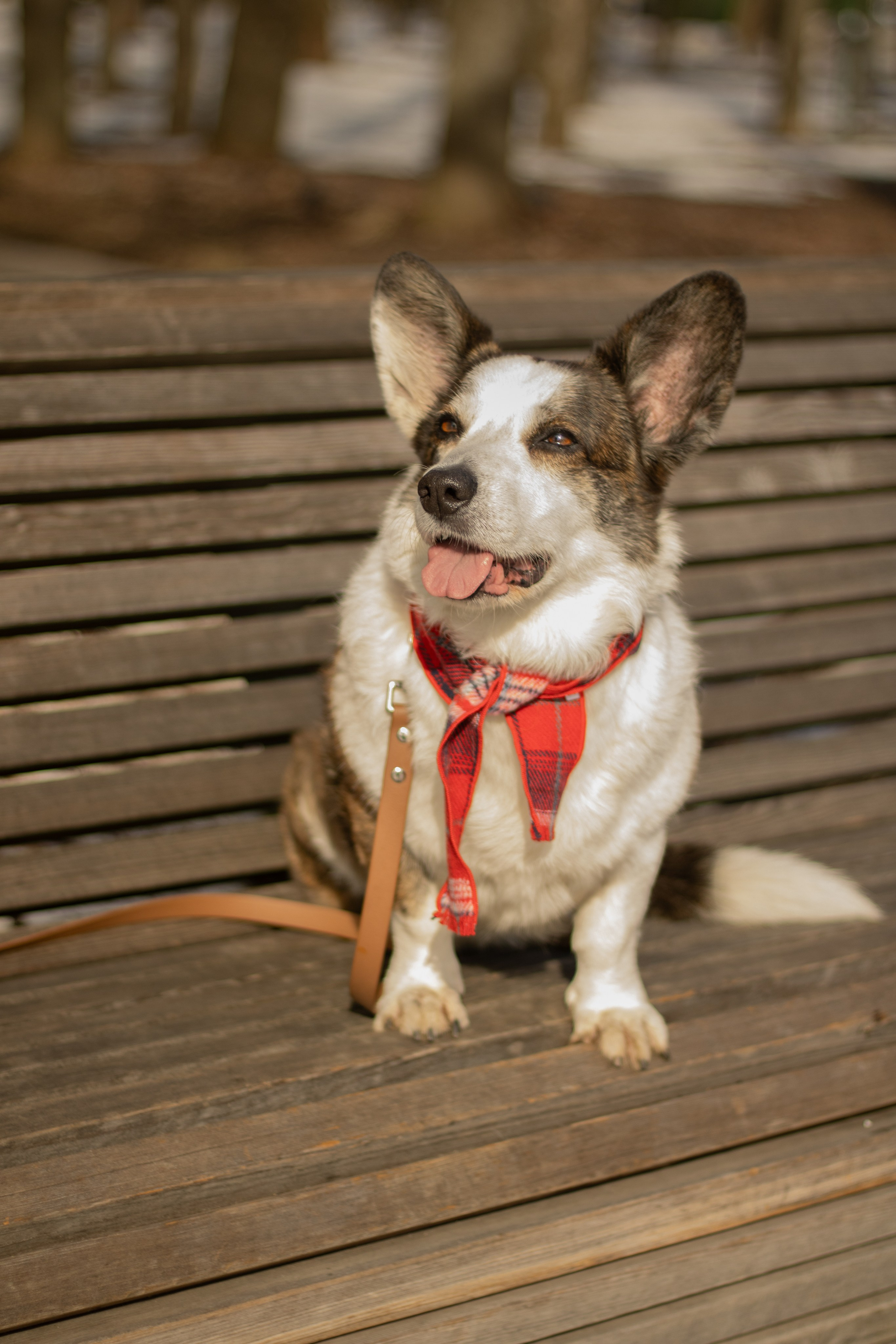 Юлия и Тэя. Катя Попова|ЛайфСтайл фотограф