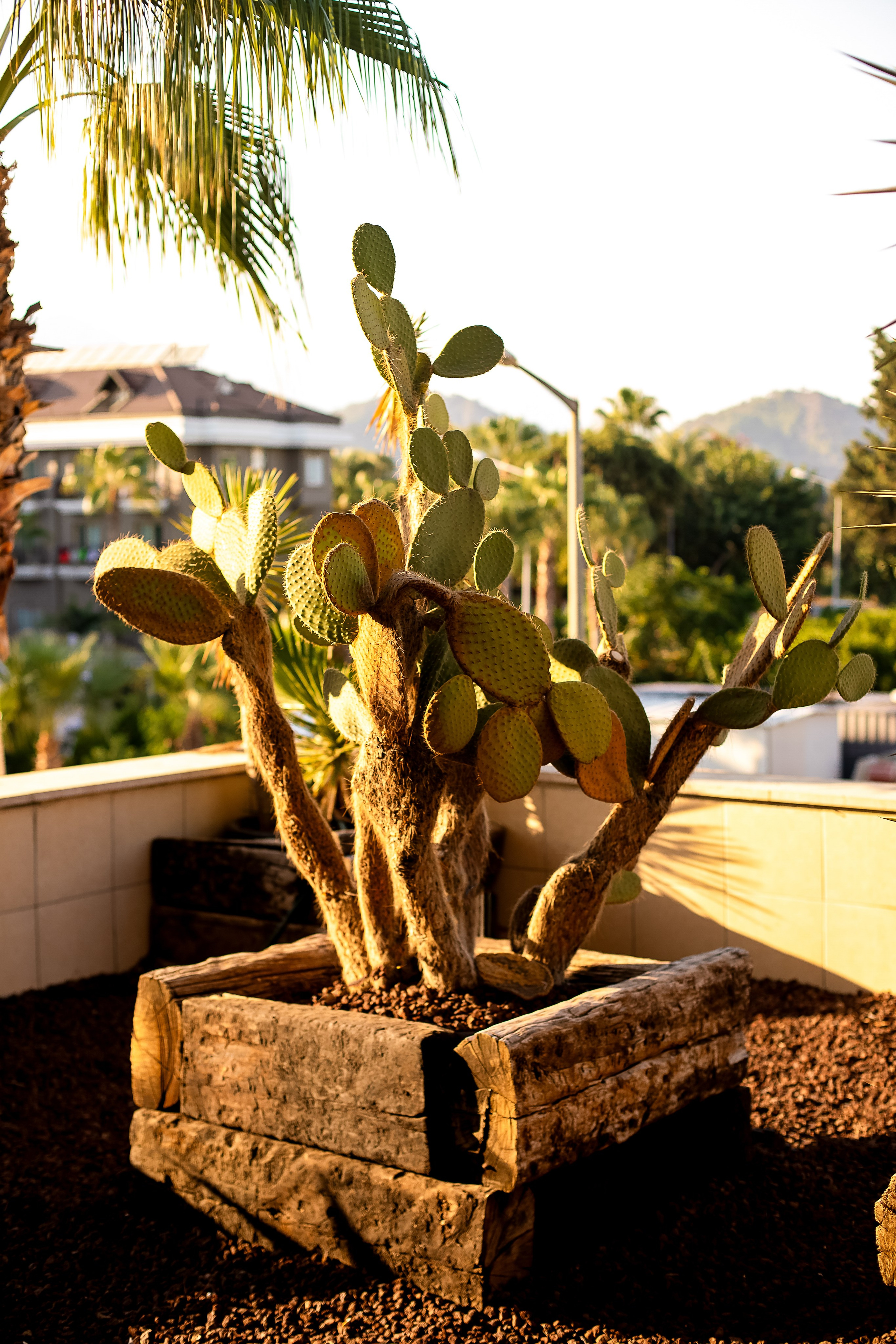 Ольга. Https://malovafoto.ru