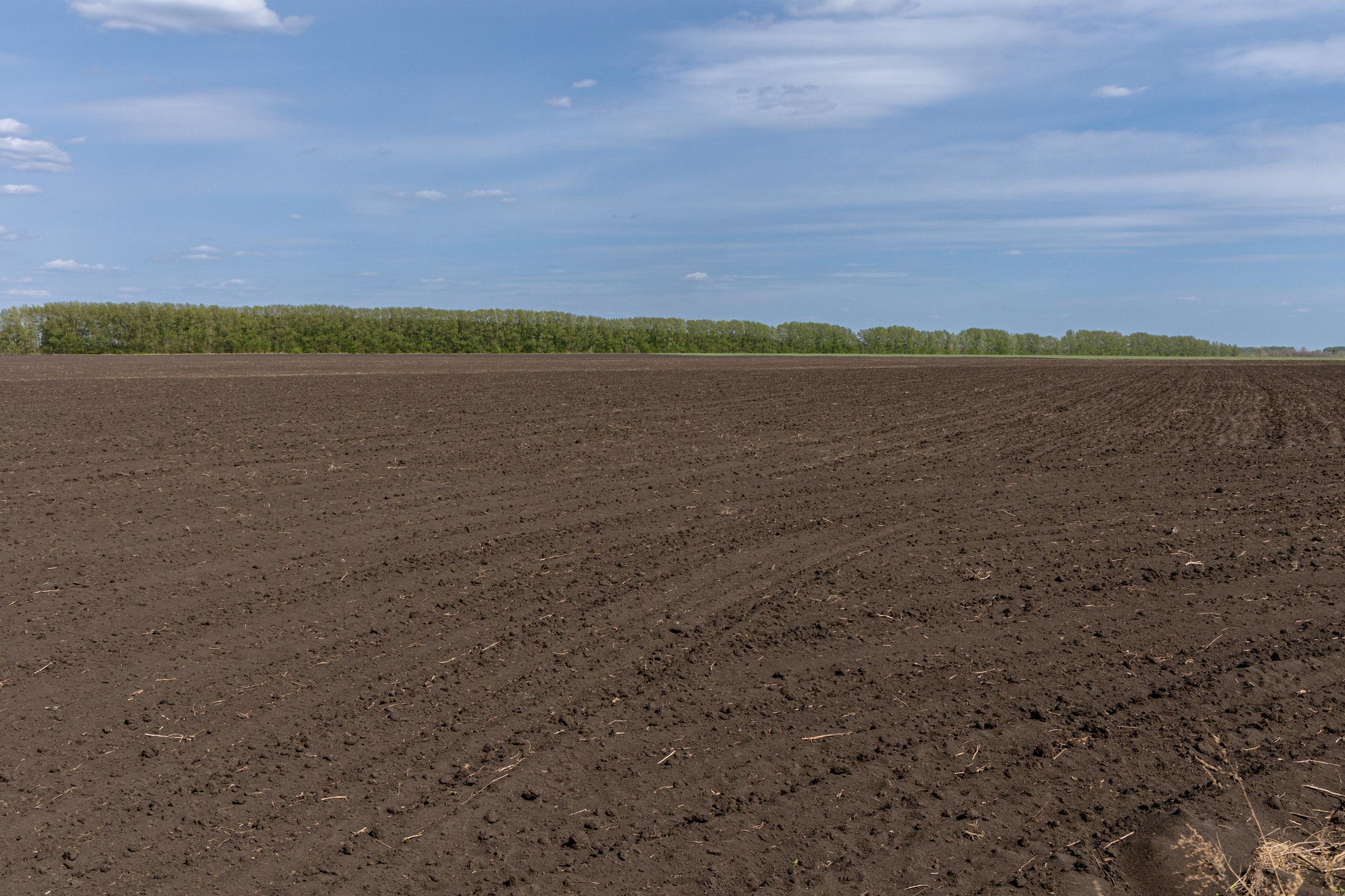 Земельный участок с объектами на нём. Владислав Волков | Фотография и видеосъемка в Воронеже