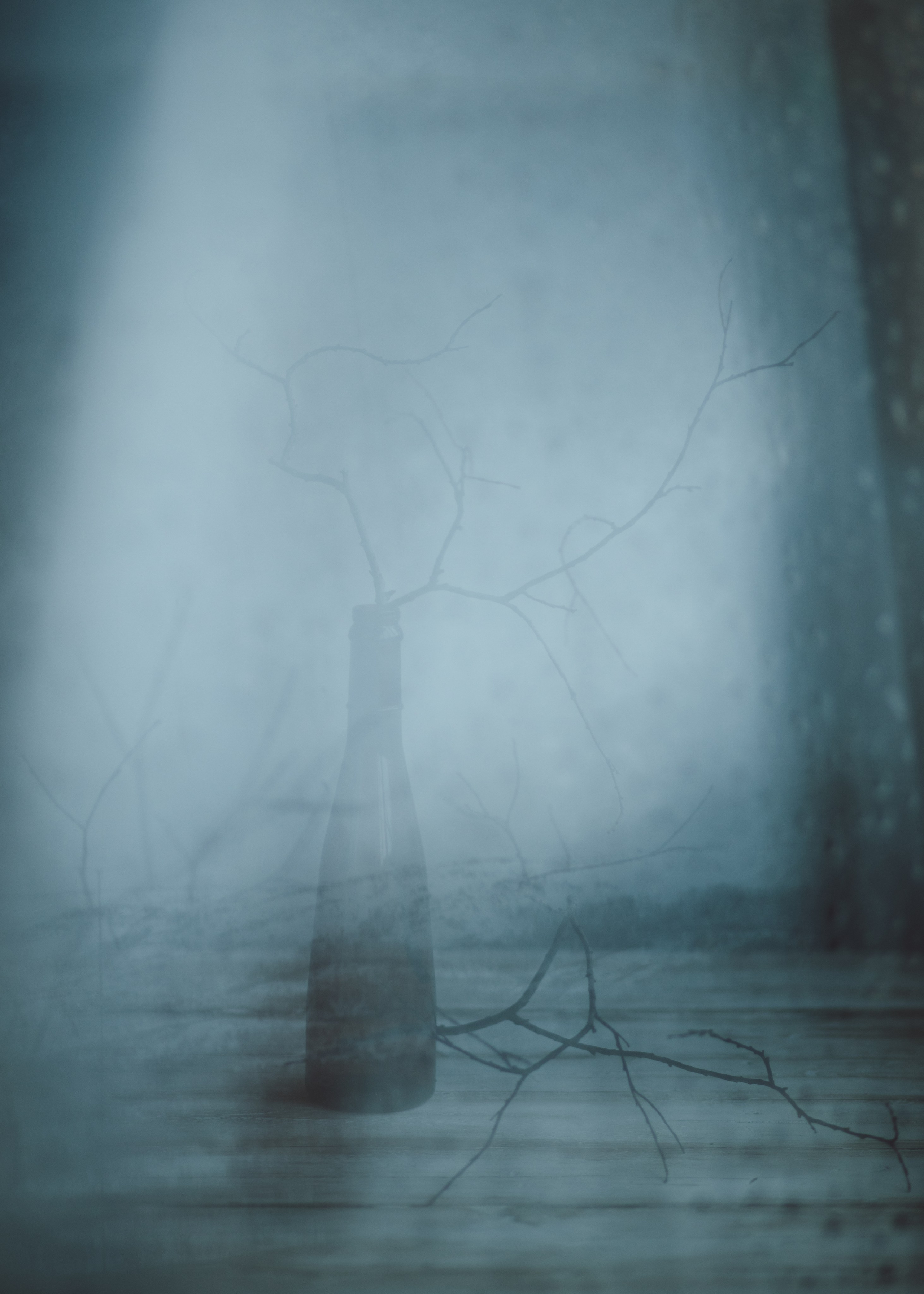 Фотографии — участники выставок и публикации. Портретный и свадебный фотограф в Пушкине и Санкт-Петербурге