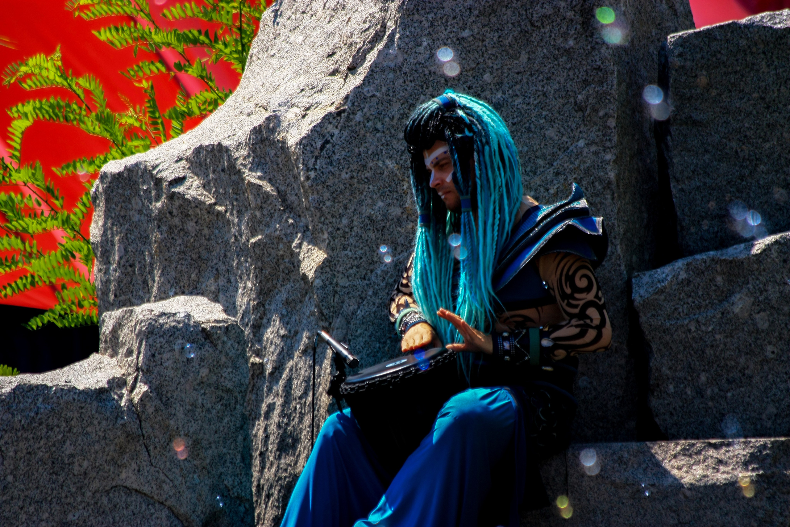 Первые кадры. Сочи — парк. Фотограф Роман Адлер