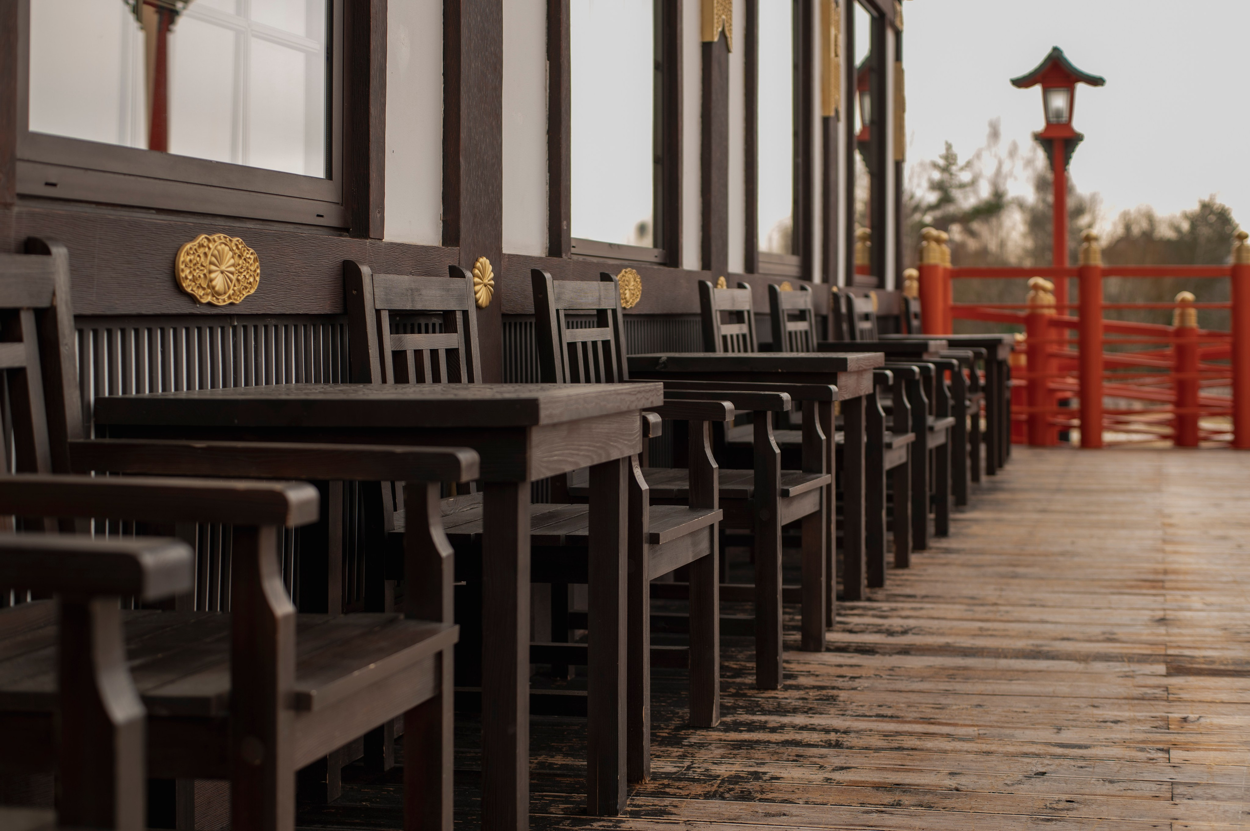 Фотопрогулка апрель 2022. Фотограф Роман Адлер