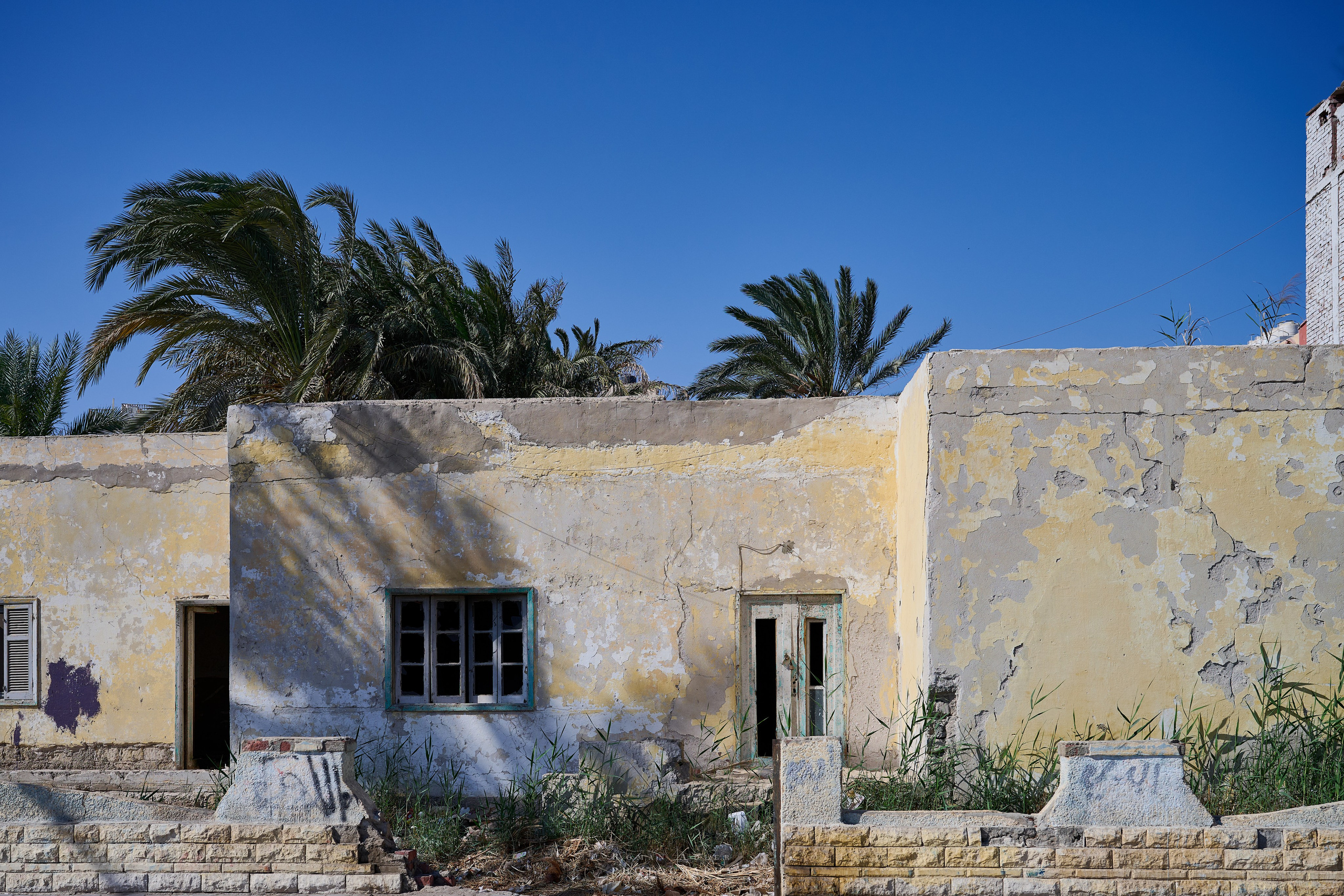 Хургада. Февраль 2025. Фотограф Роман Адлер