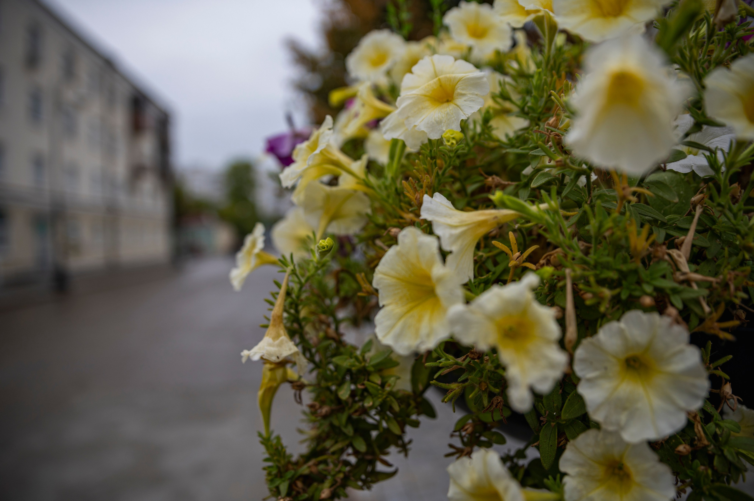 Казань. Сентябрь 2022. Фотограф Роман Адлер