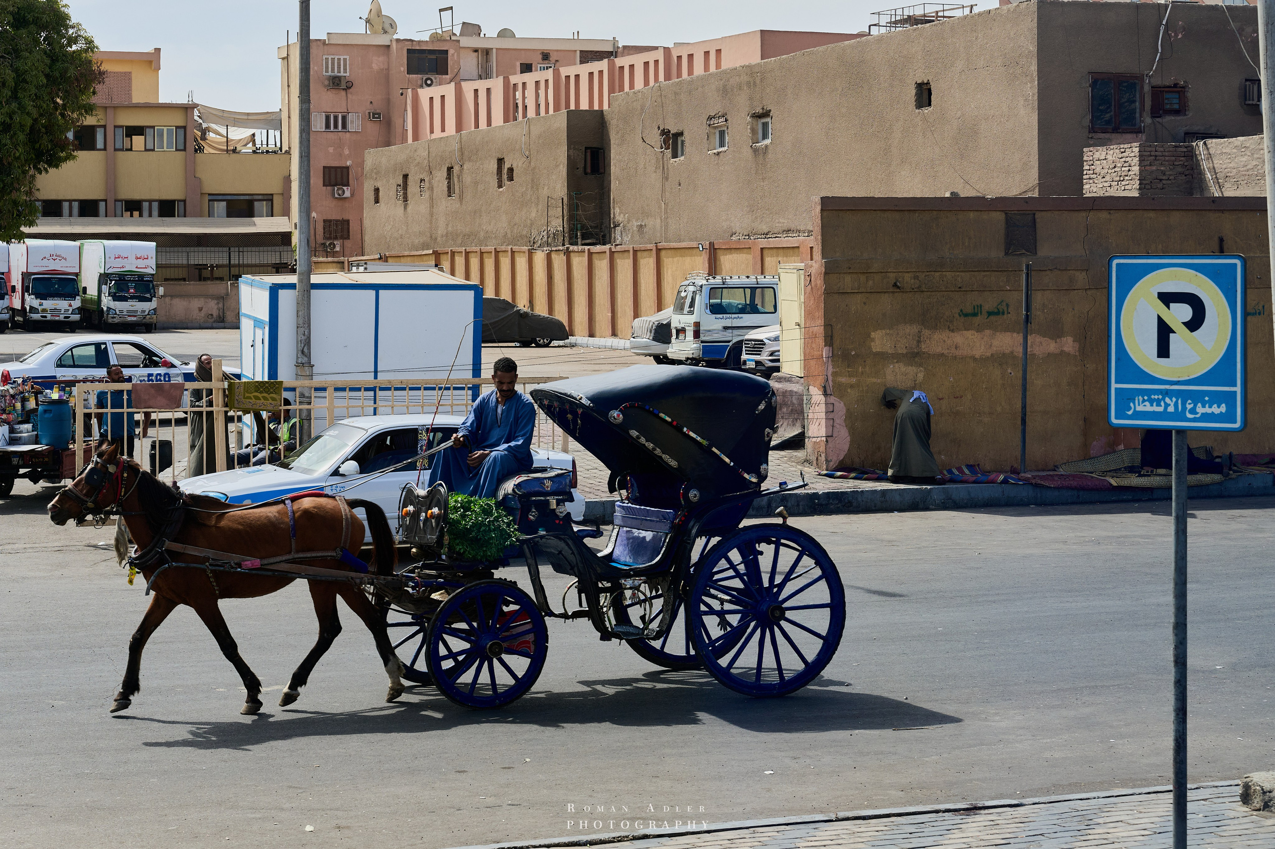 Луксор. Февраль 2025. Фотограф Роман Адлер