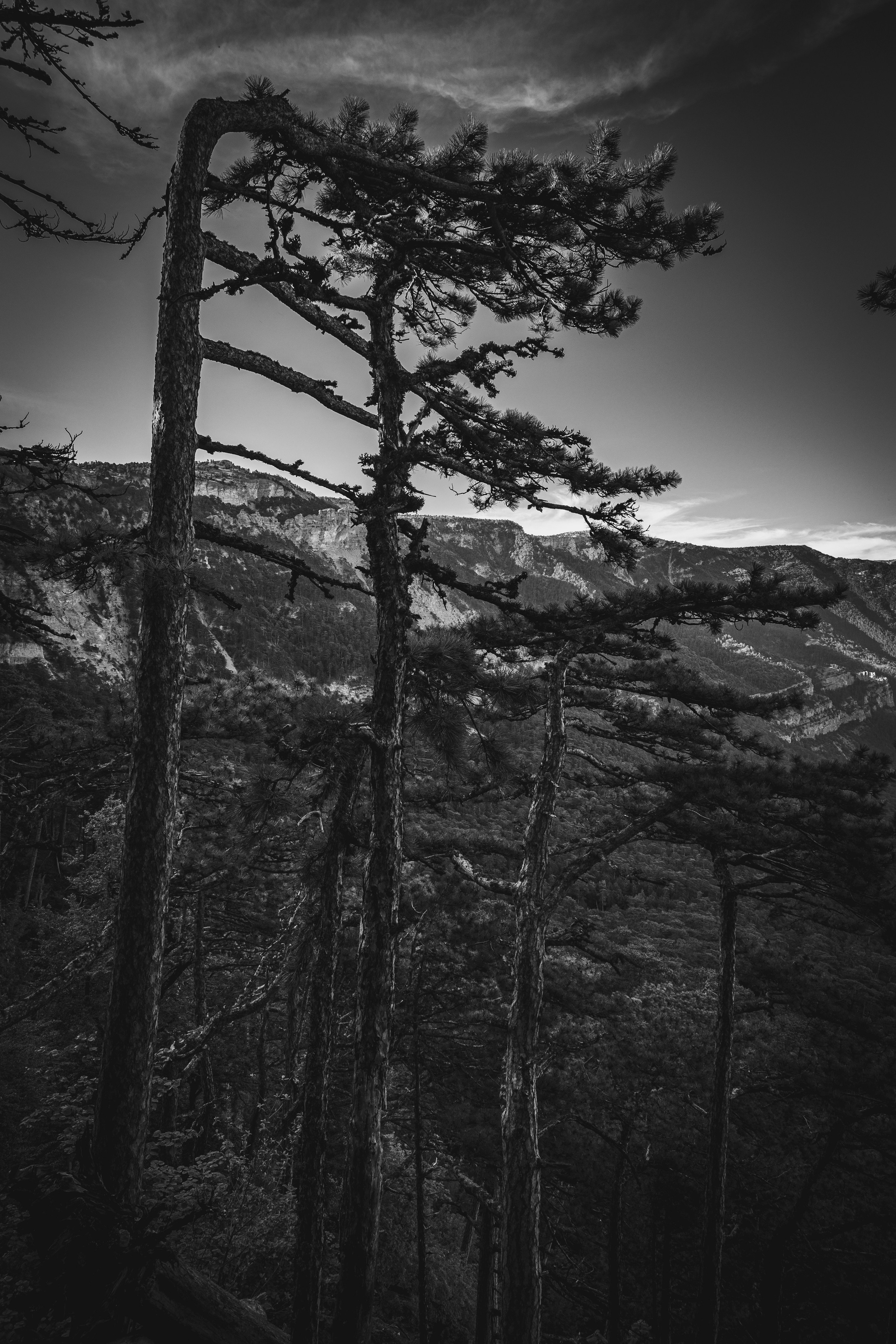 Крым май 2022. Фотограф Роман Адлер