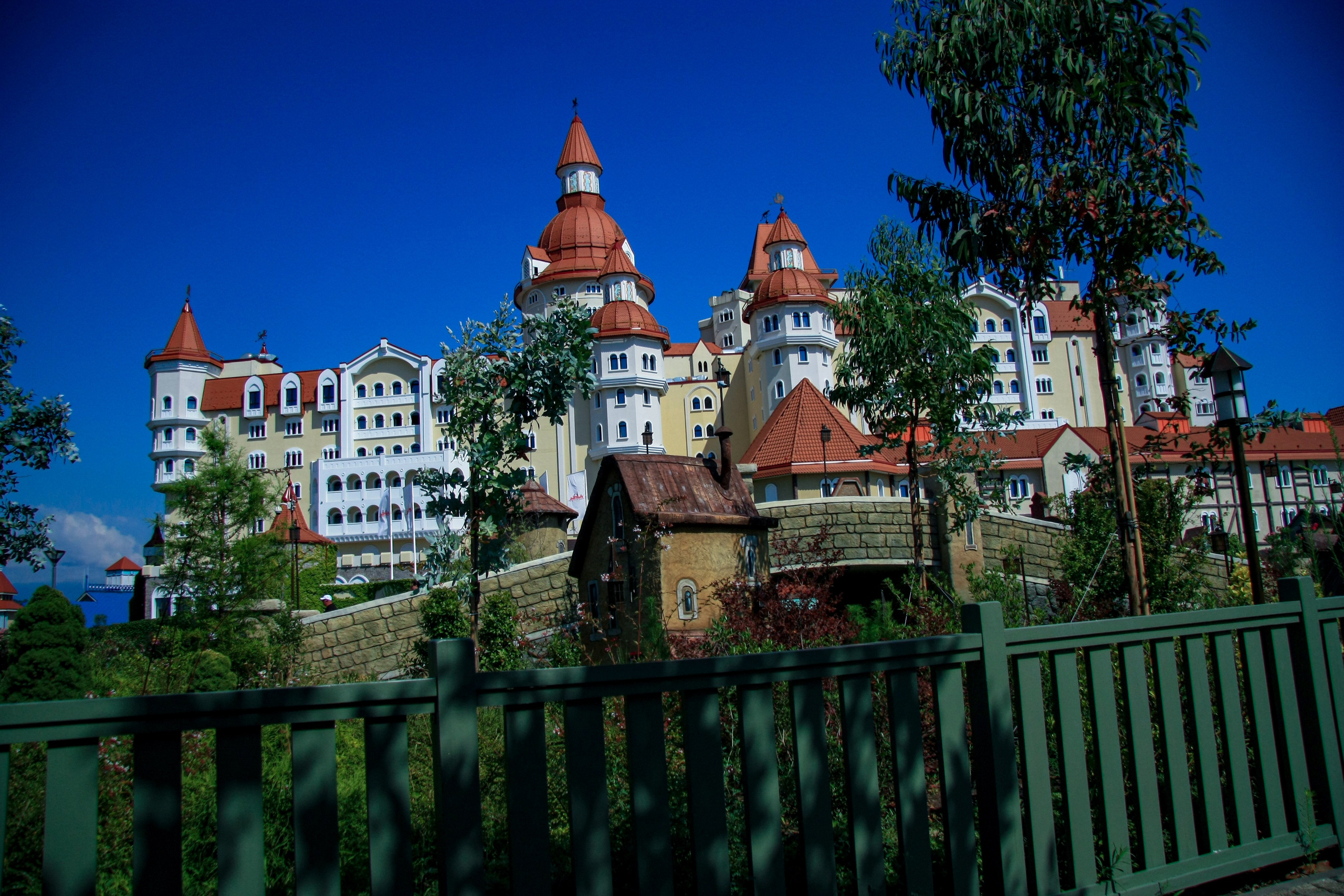 Первые кадры. Сочи — парк. Фотограф Роман Адлер