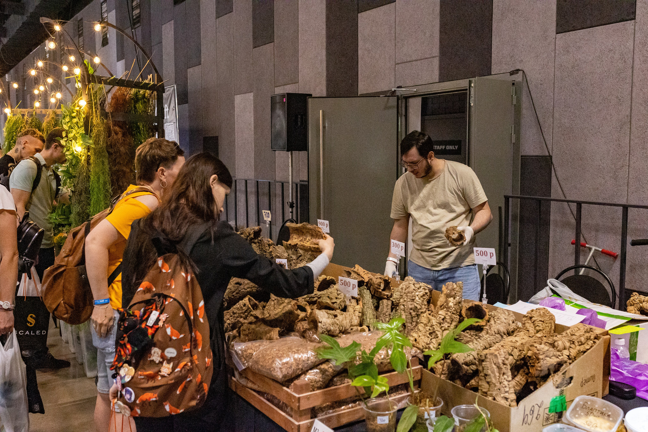 Рептилиум 2024. Александра Куликова фотограф, Москва