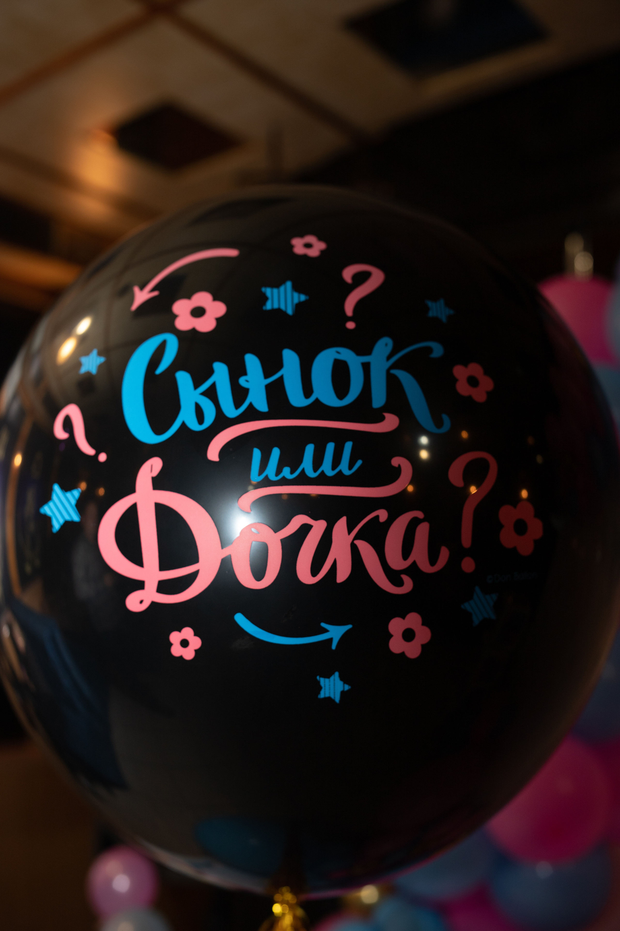 Gender-party. Детский и семейный фотограф в Краснодаре Ольга Кухарева