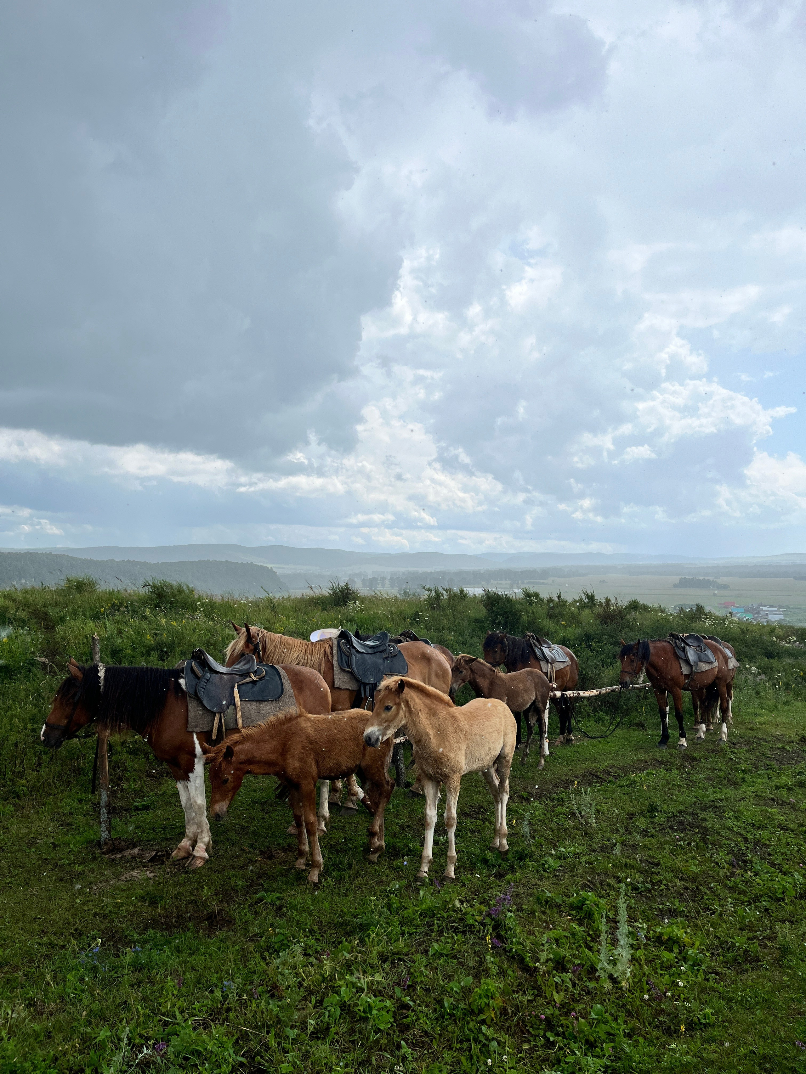 Конный тур к скале Уклы-Кая из Уфы — Время приключений