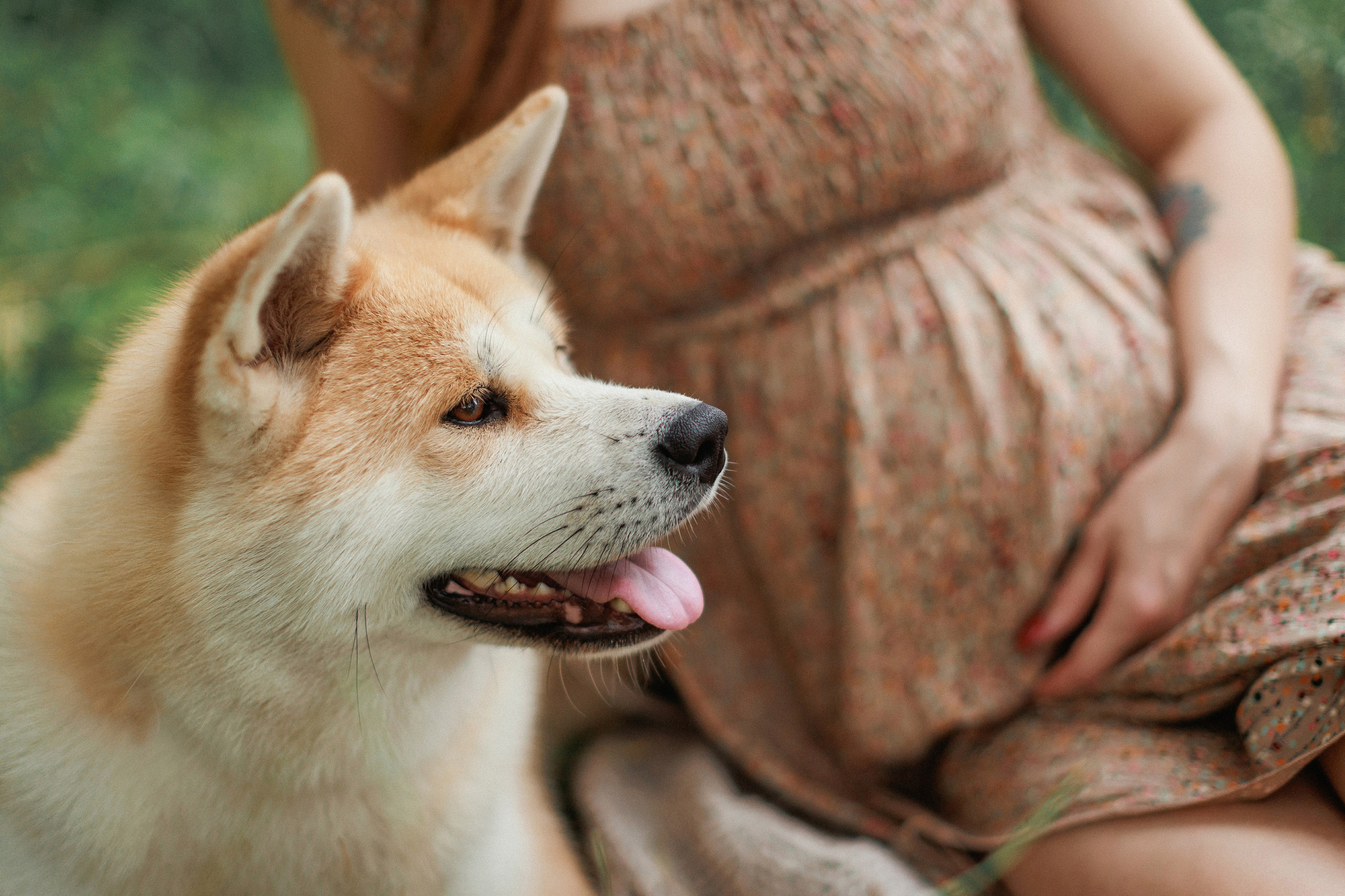 В ожидании. Свадебный, семейный и детский фотограф в городе Партизанск, Находка