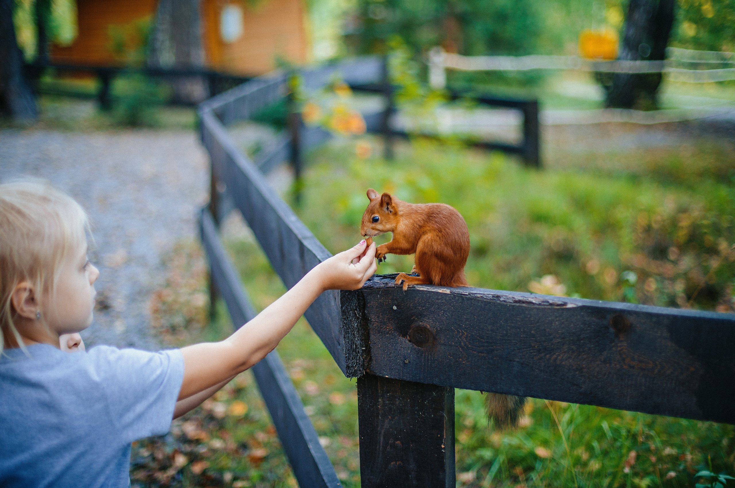 Семейная фотосессия. Выпускные альбомы Искитим, Бердск и Новосибирск Крюкова Елена