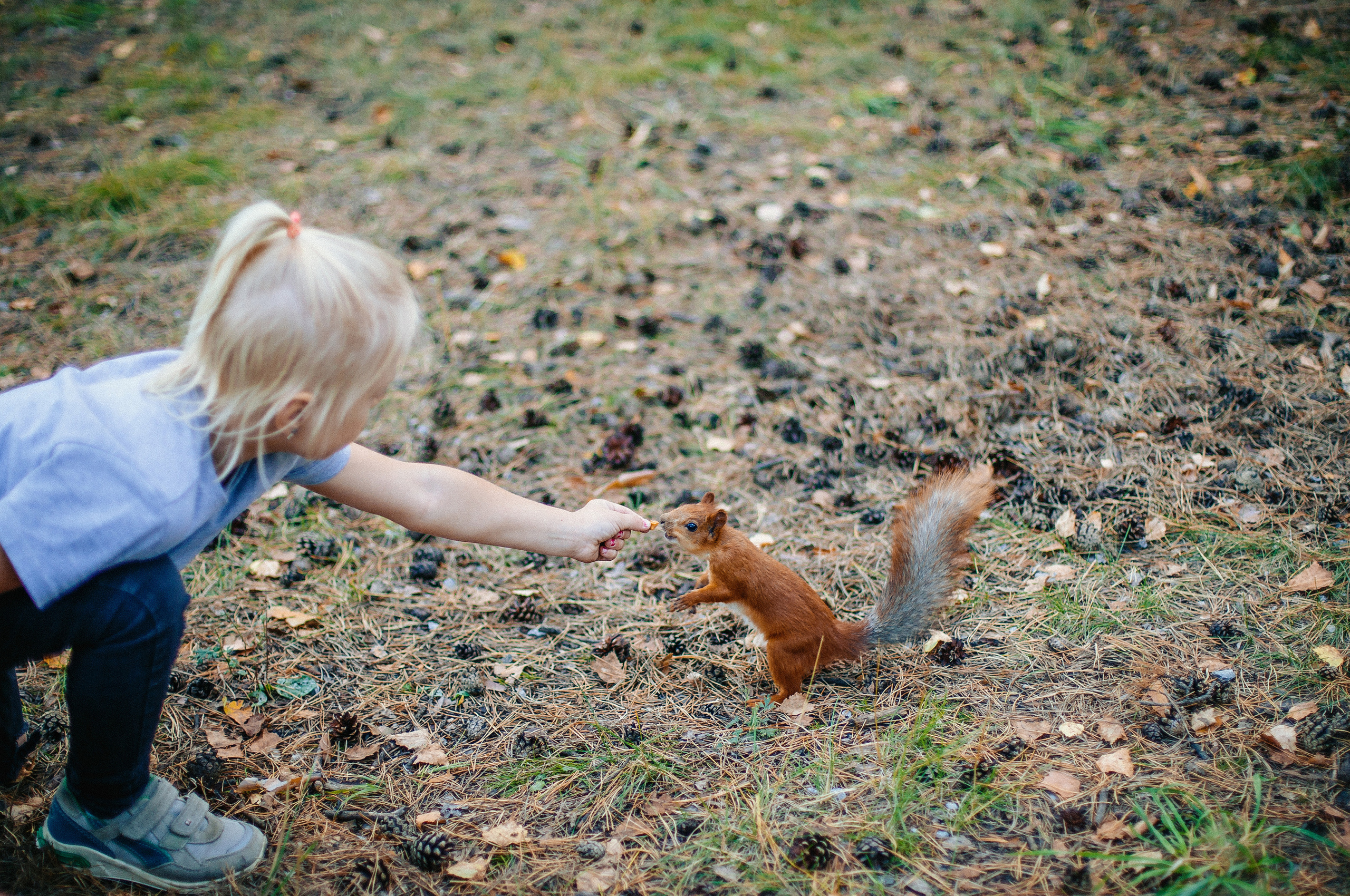 Семейная фотосессия. Выпускные альбомы Искитим, Бердск и Новосибирск Крюкова Елена