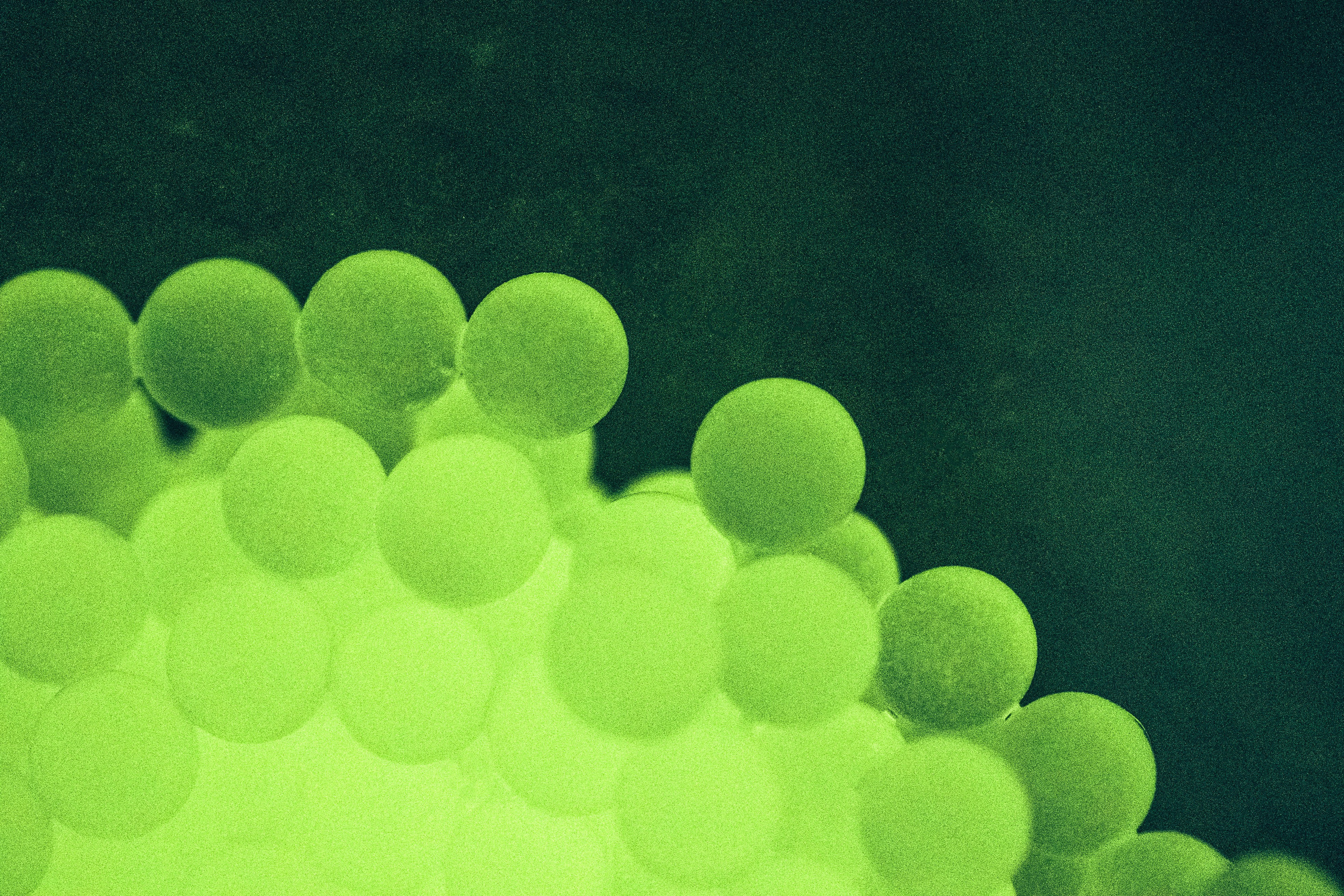 FRAGRANCE. Анна Ульянова