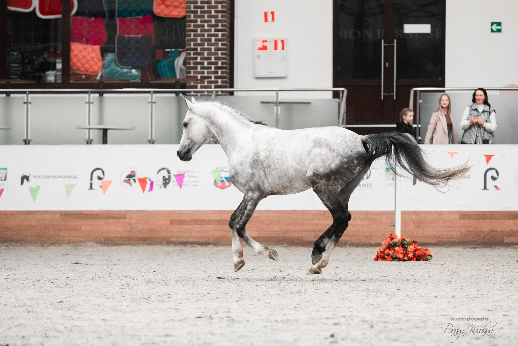 8-я международная выставка Конная Россия. Конный фотограф Куракина Дарья • Фотосессии с лошадьми