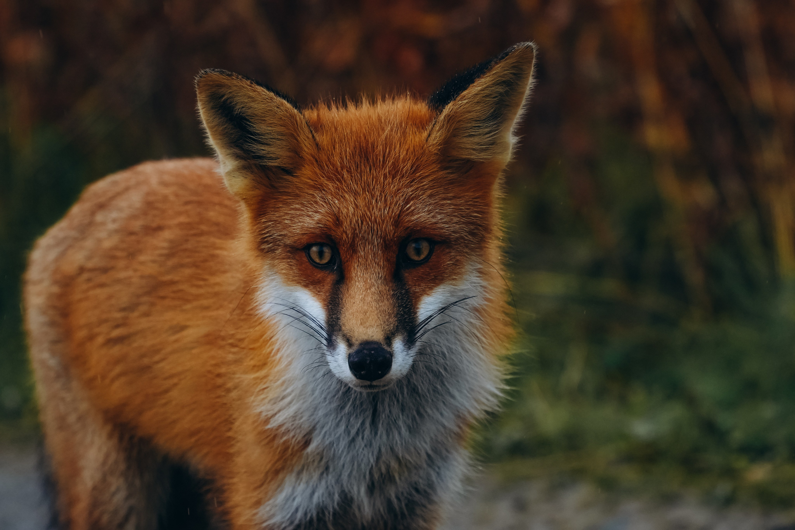 СЕВЕР. Event фотограф Степанова Александра
