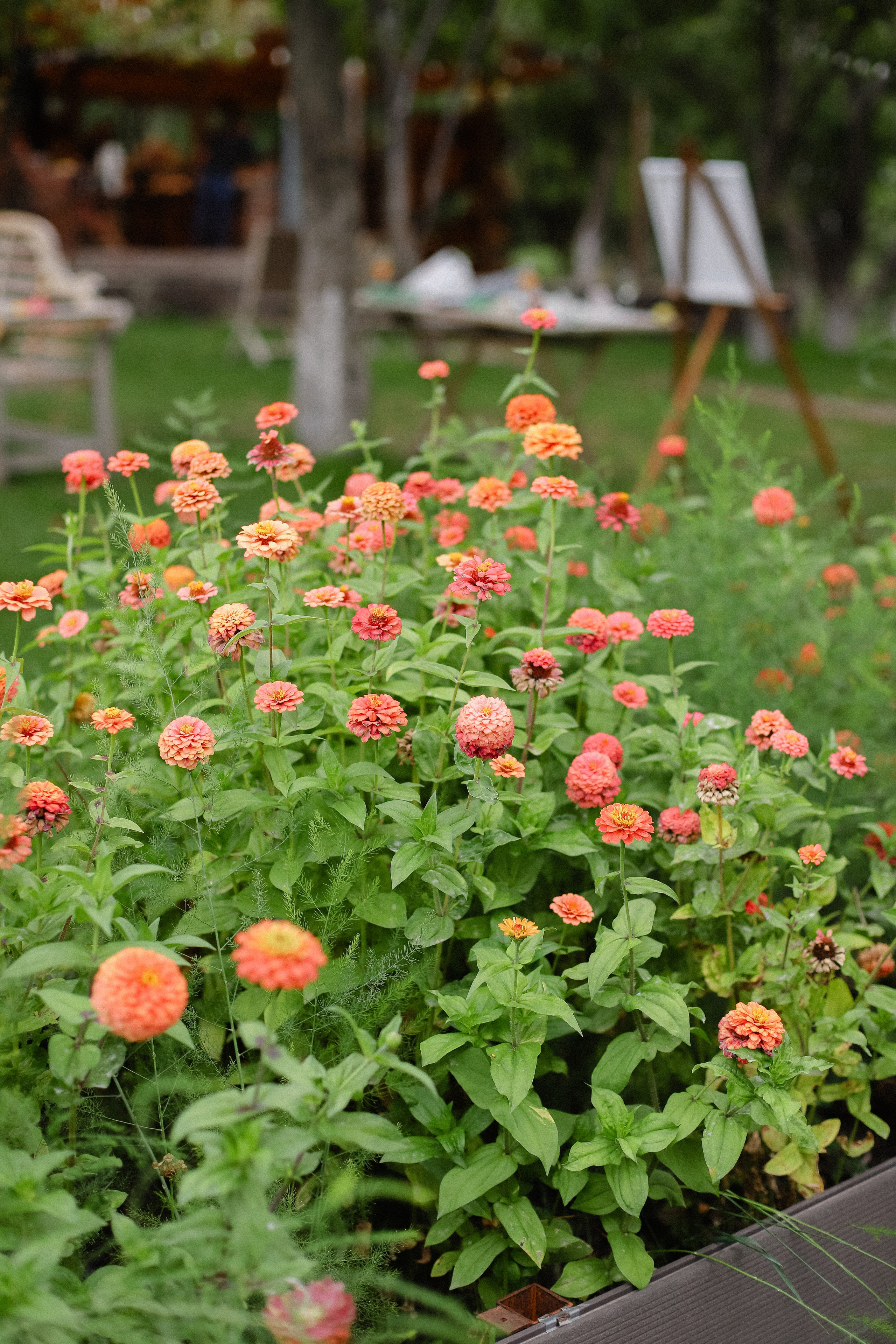 Рустам и Елизавета. Фотограф в Алматы и Москве Даша Пушкина