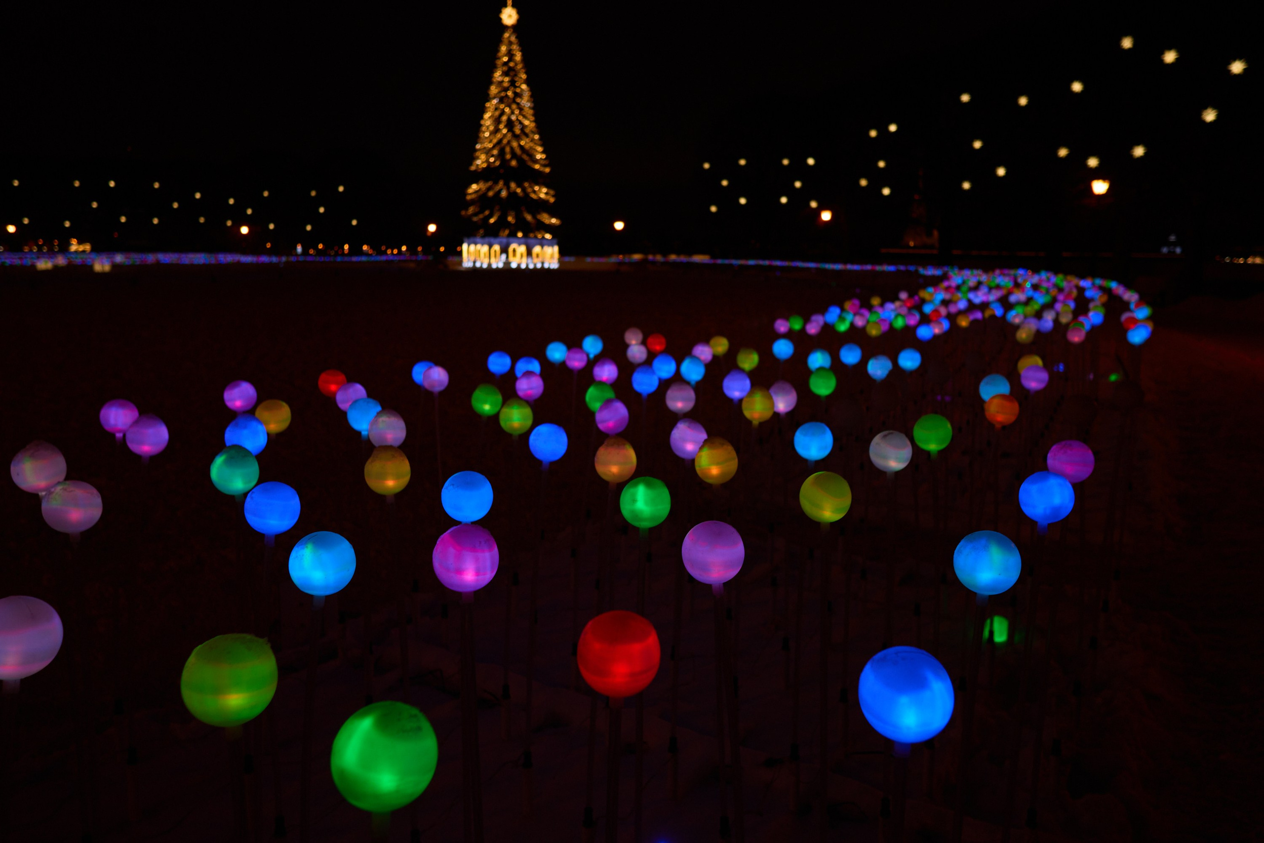 Рождество въ Санктъ-Петербургѣ. Фотографъ Сергѣевъ. Поймать мгновеніе