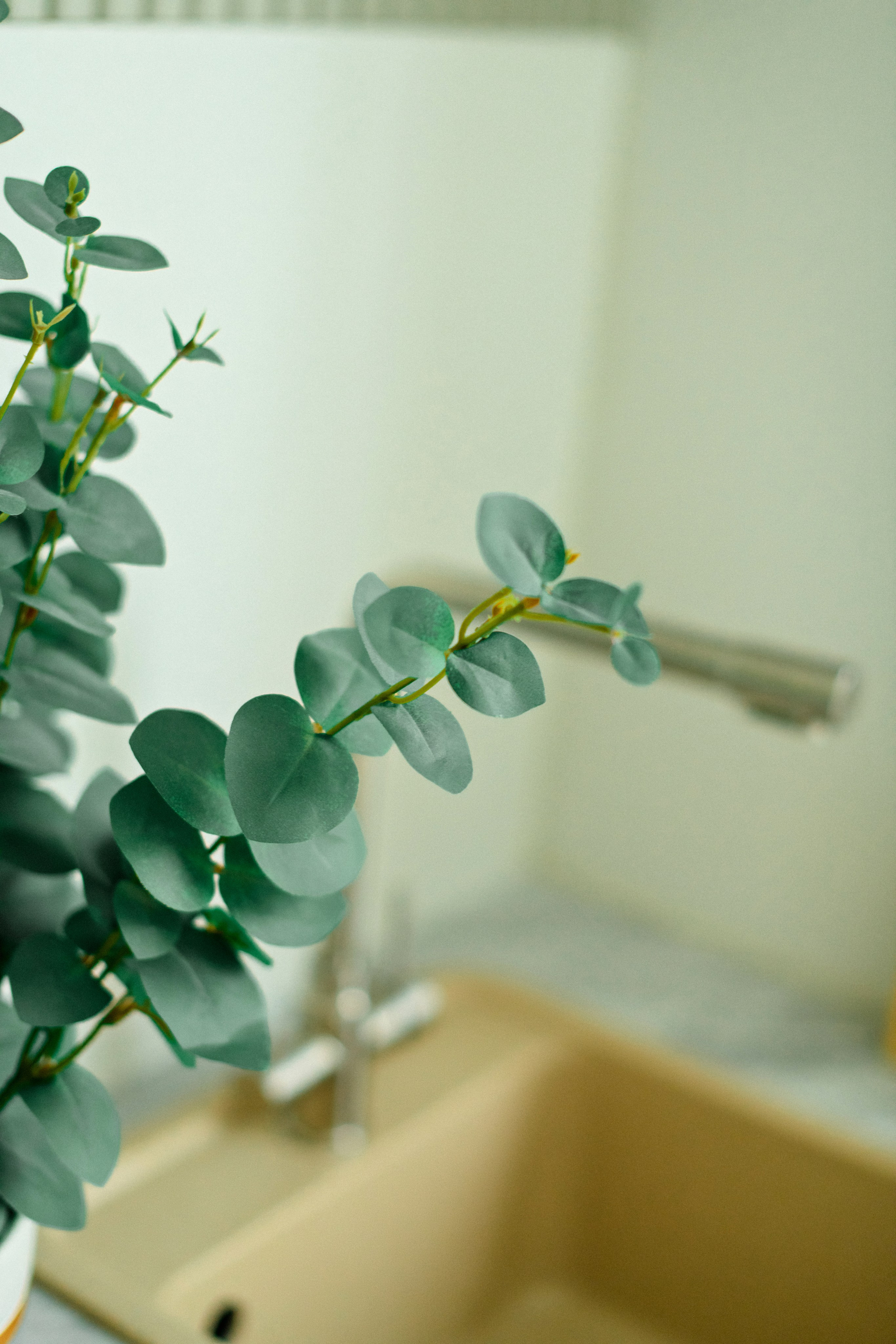 Нутрициолог. Свадебный фотограф в Санкт-Петербурге София Шубик