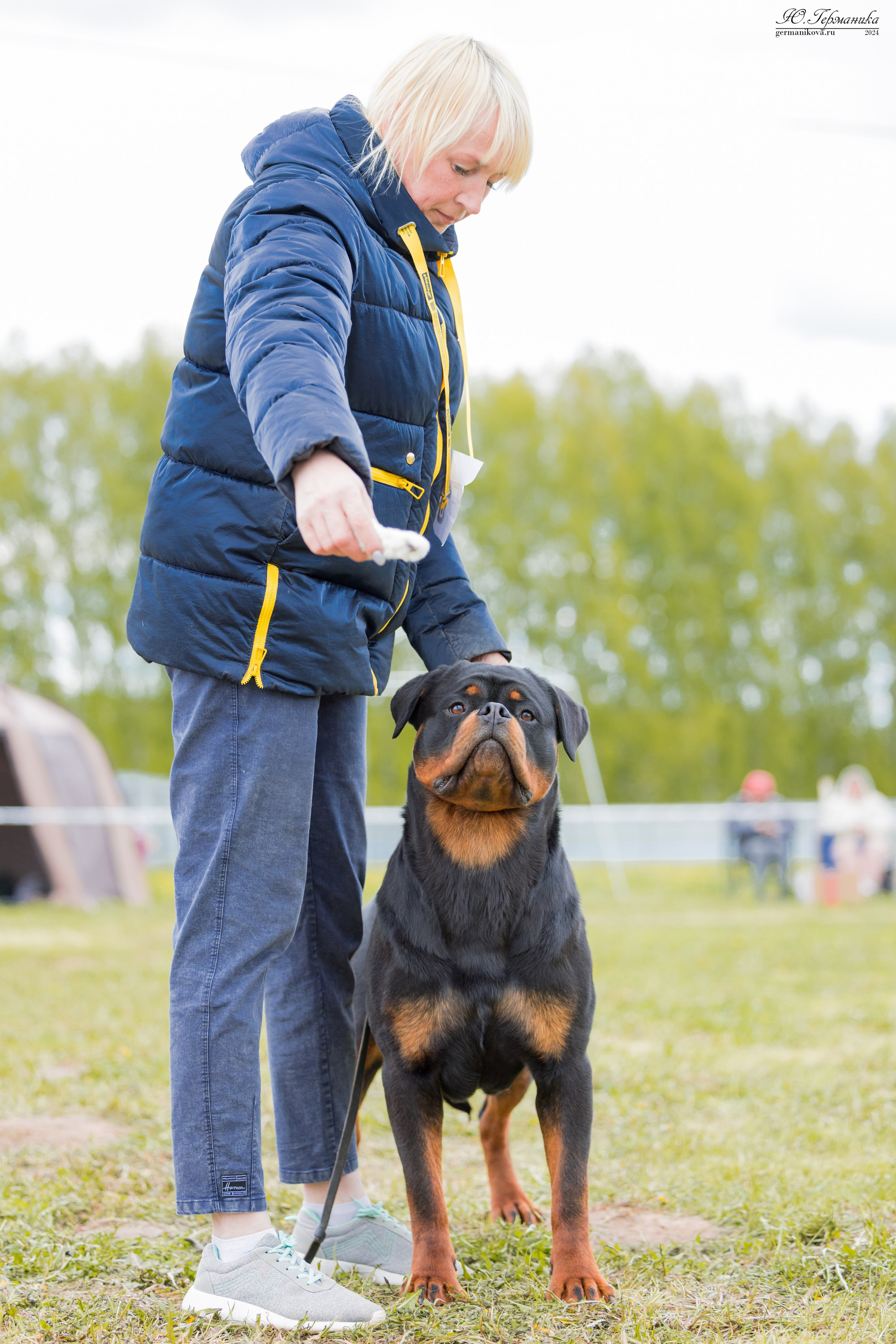 Нижний Новгород 11-12.05.2024 моно ротвейлеров. Фотограф-анималист Юлия Германика