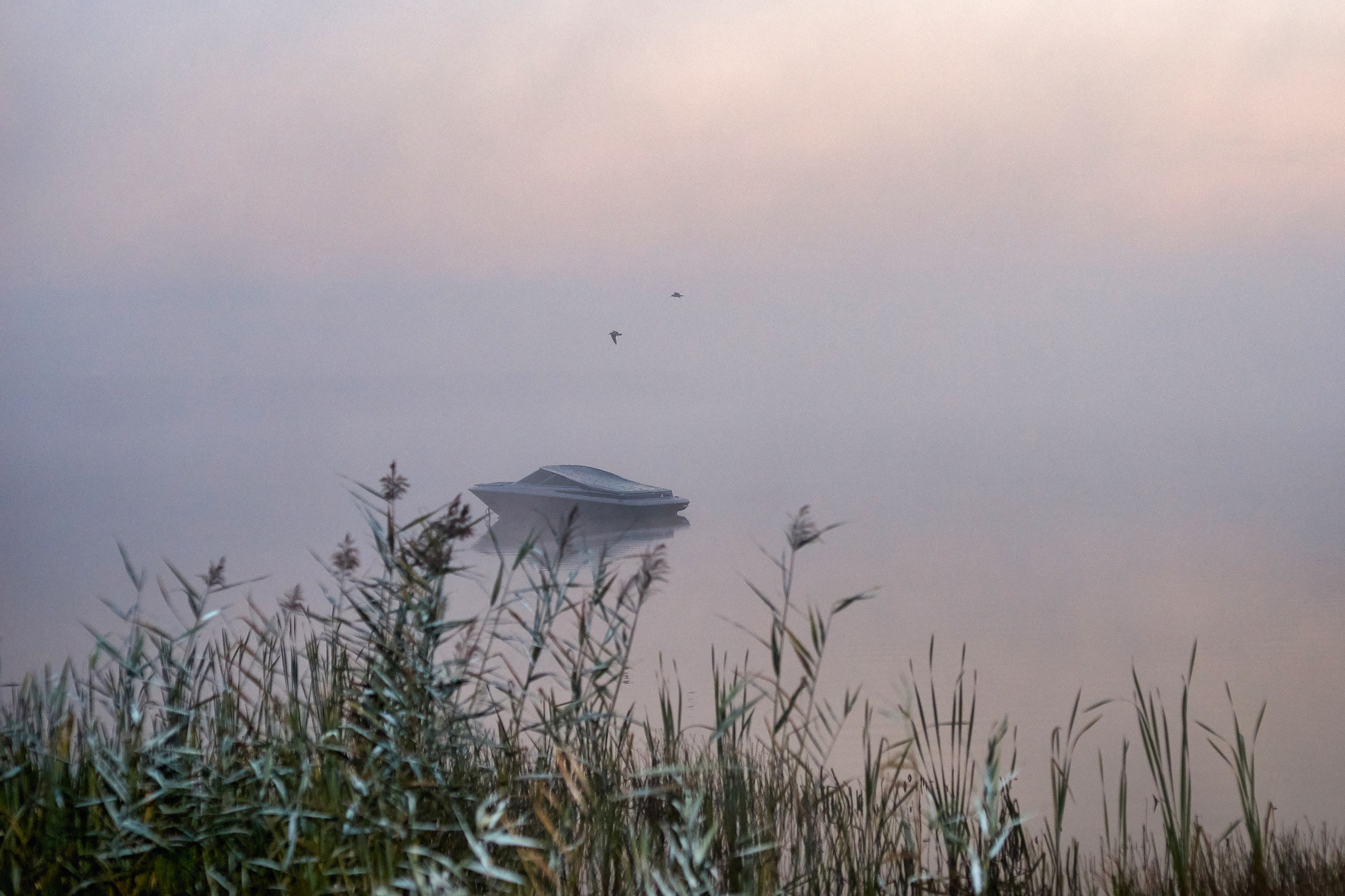 На озере Нарочь. Белоруссия