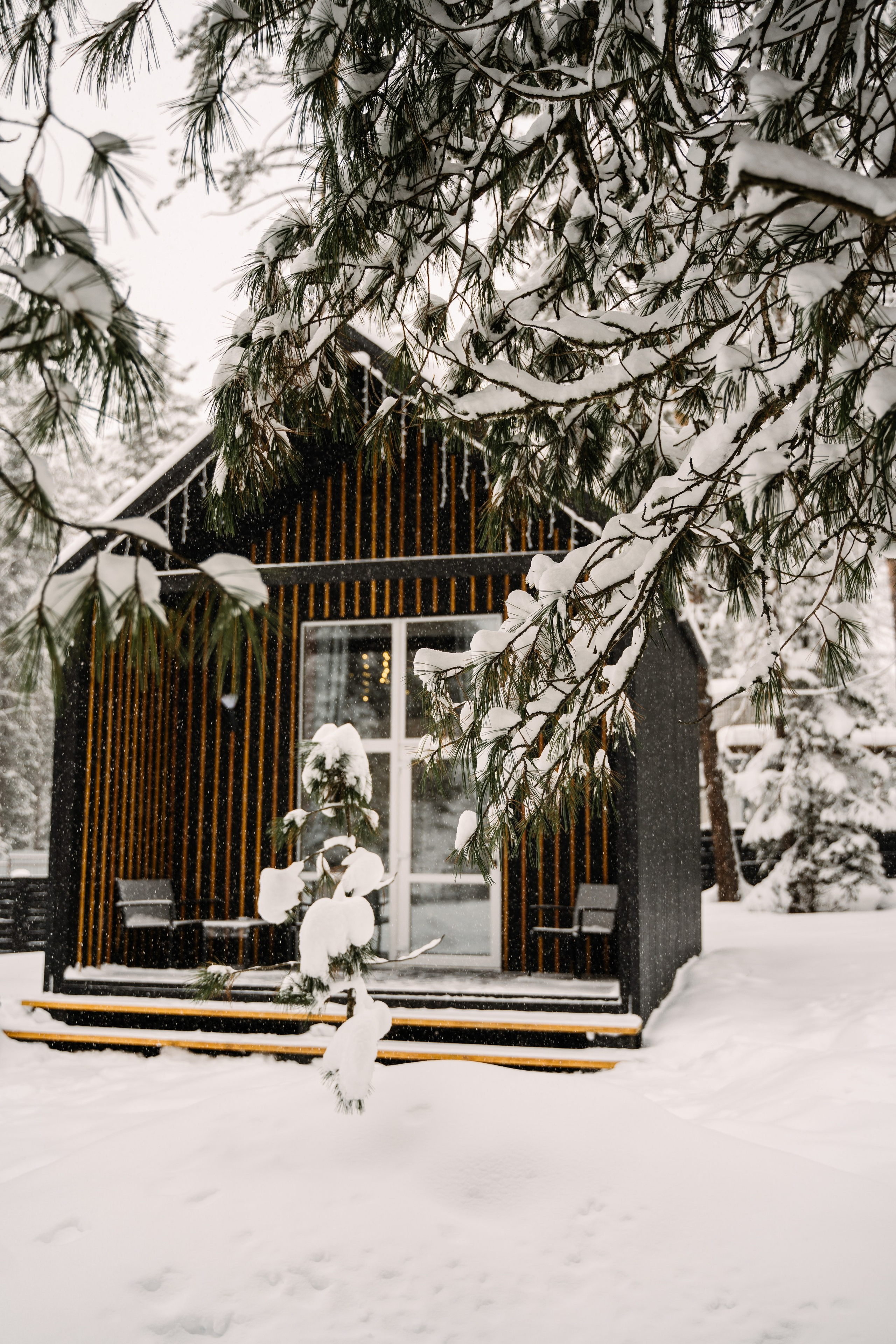 Релекс ТЕЛЕЦКОЕ. Фотограф Ольга Пучкова