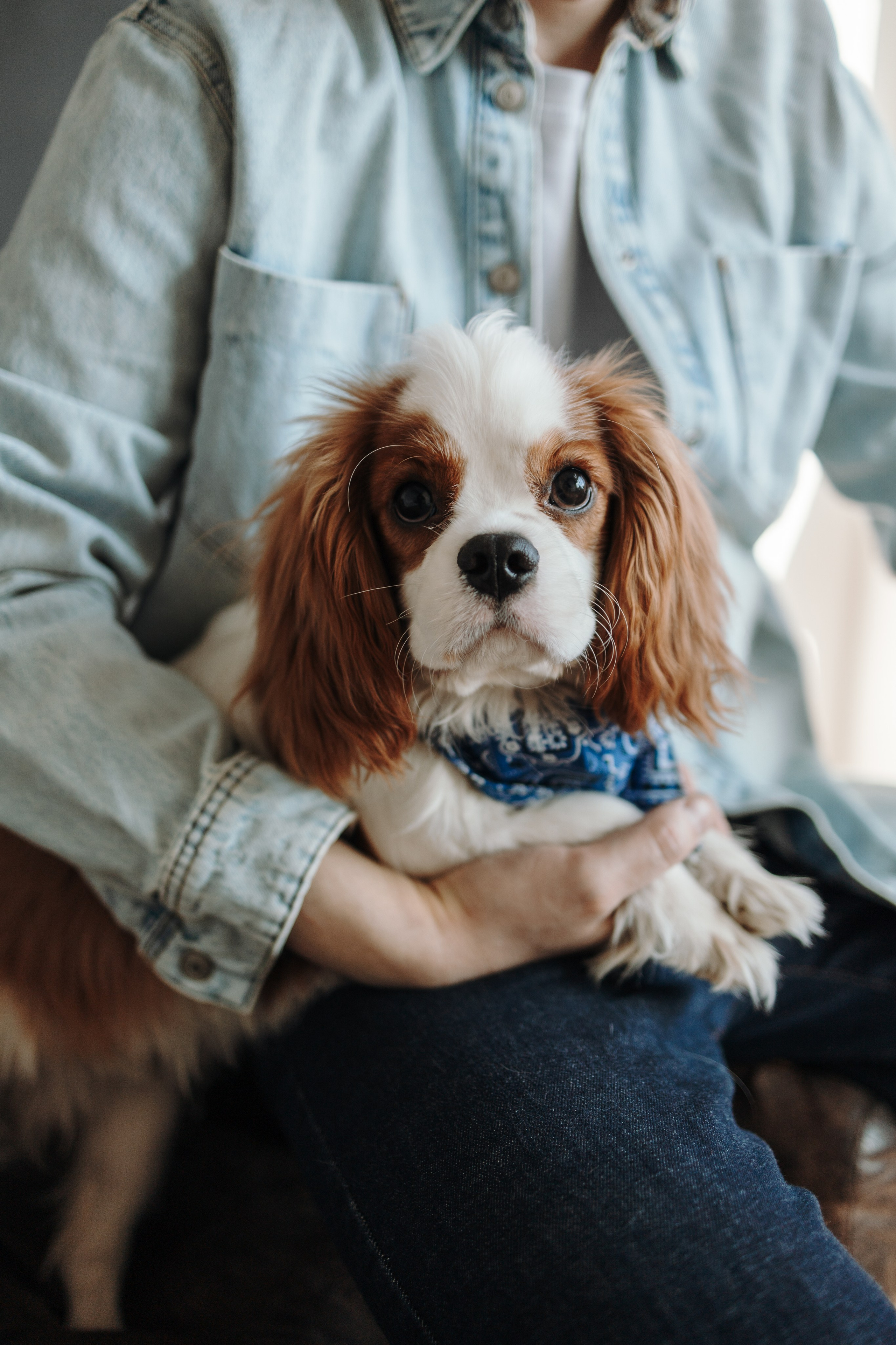 Плуто и его семья. Фотограф — Анималист | Санкт-Петербург