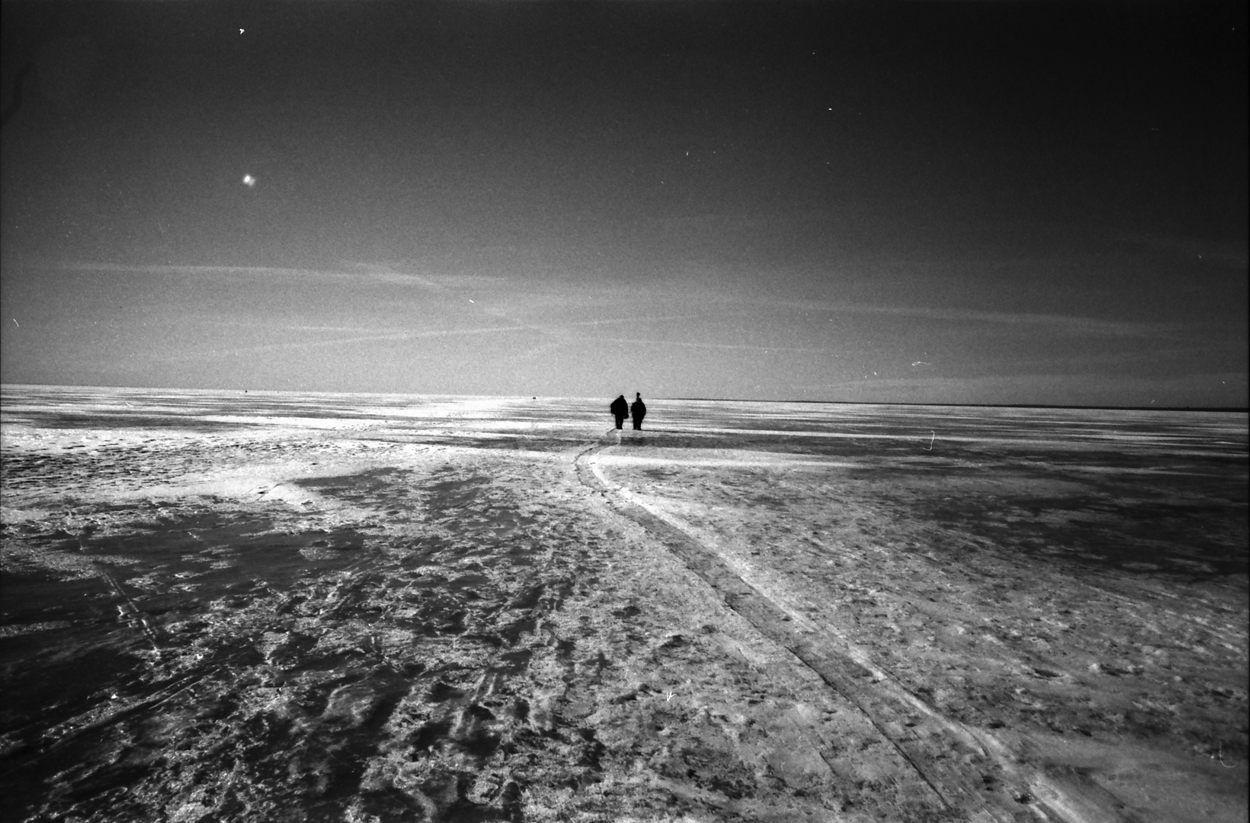 Spaces and faces 2013-∞. Наталья Рутова