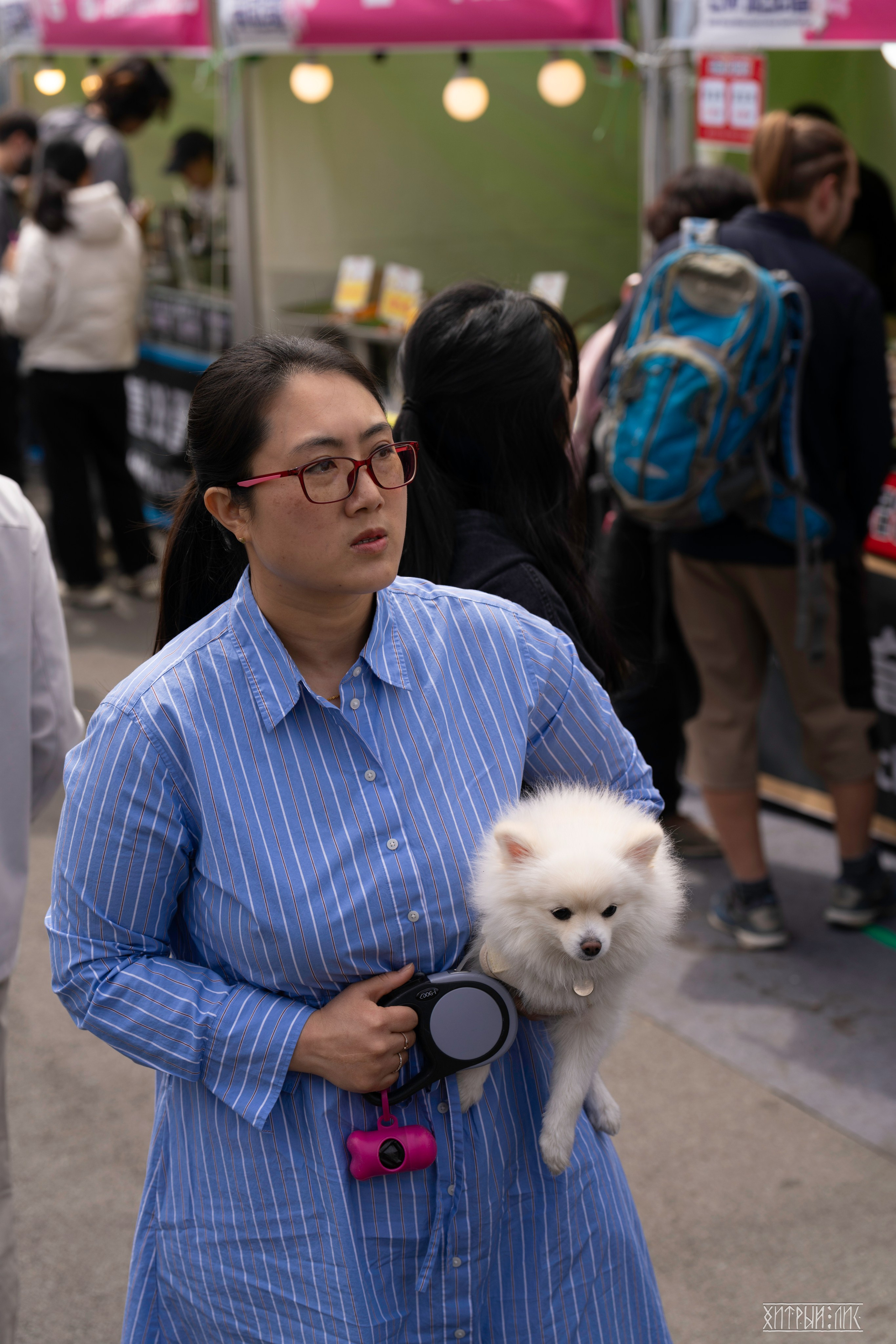 Южная Корея. Фотограф-путешественник Самойлов Максим «Sly Fox»