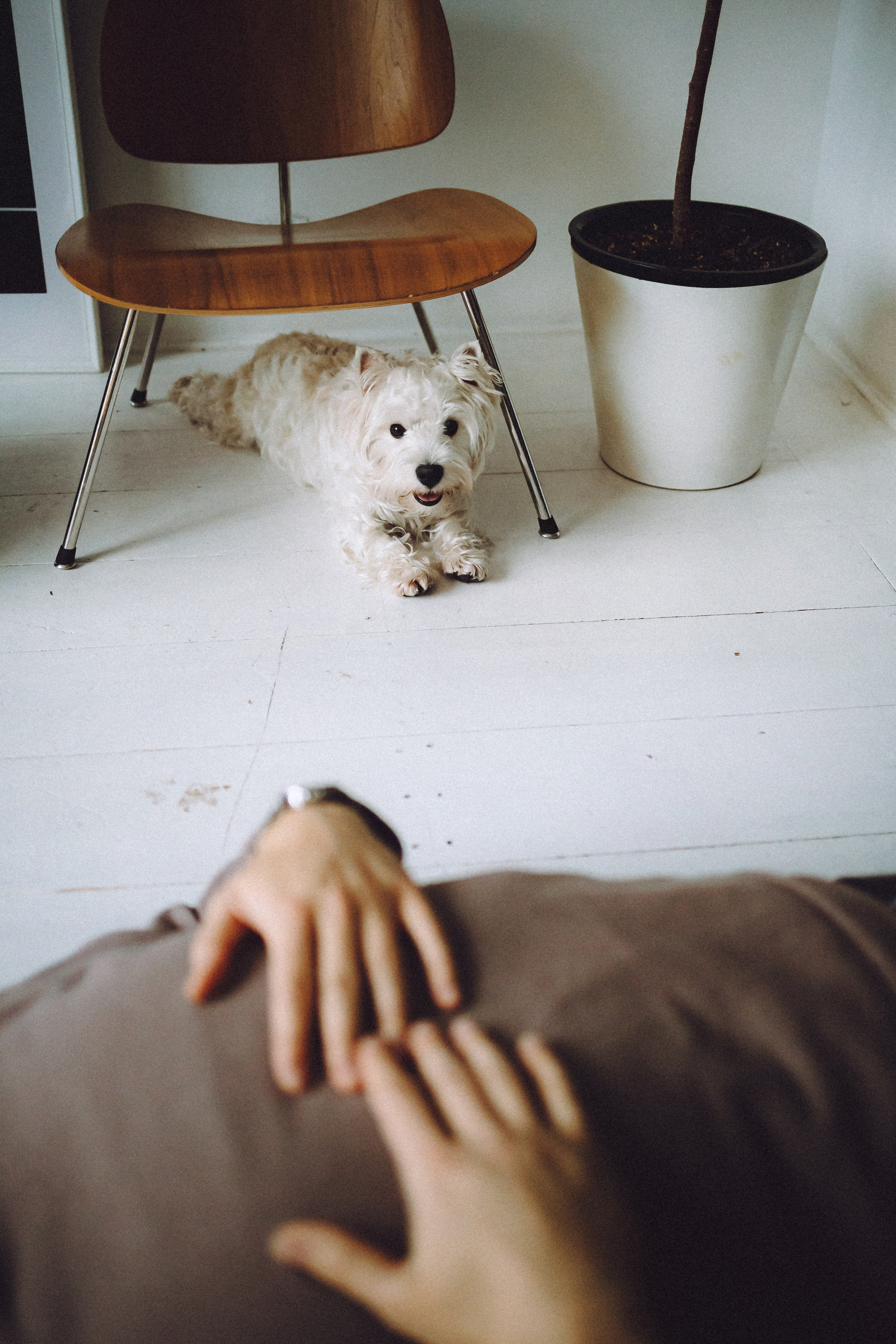 Вика, Глеб и Тори