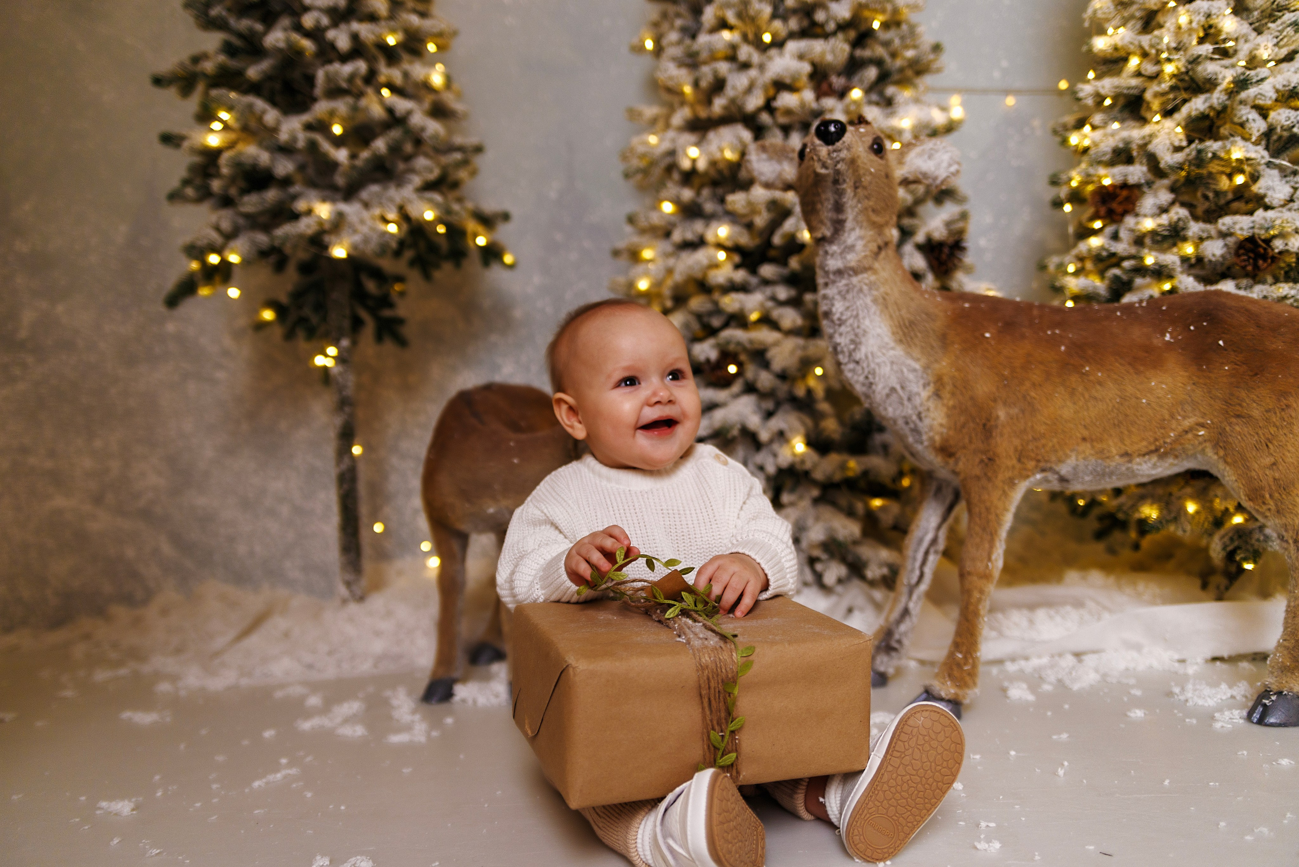 Семейная фотостудия. Семейный, свадебный и детский фотограф в Новосибирске Ольга Хидченко