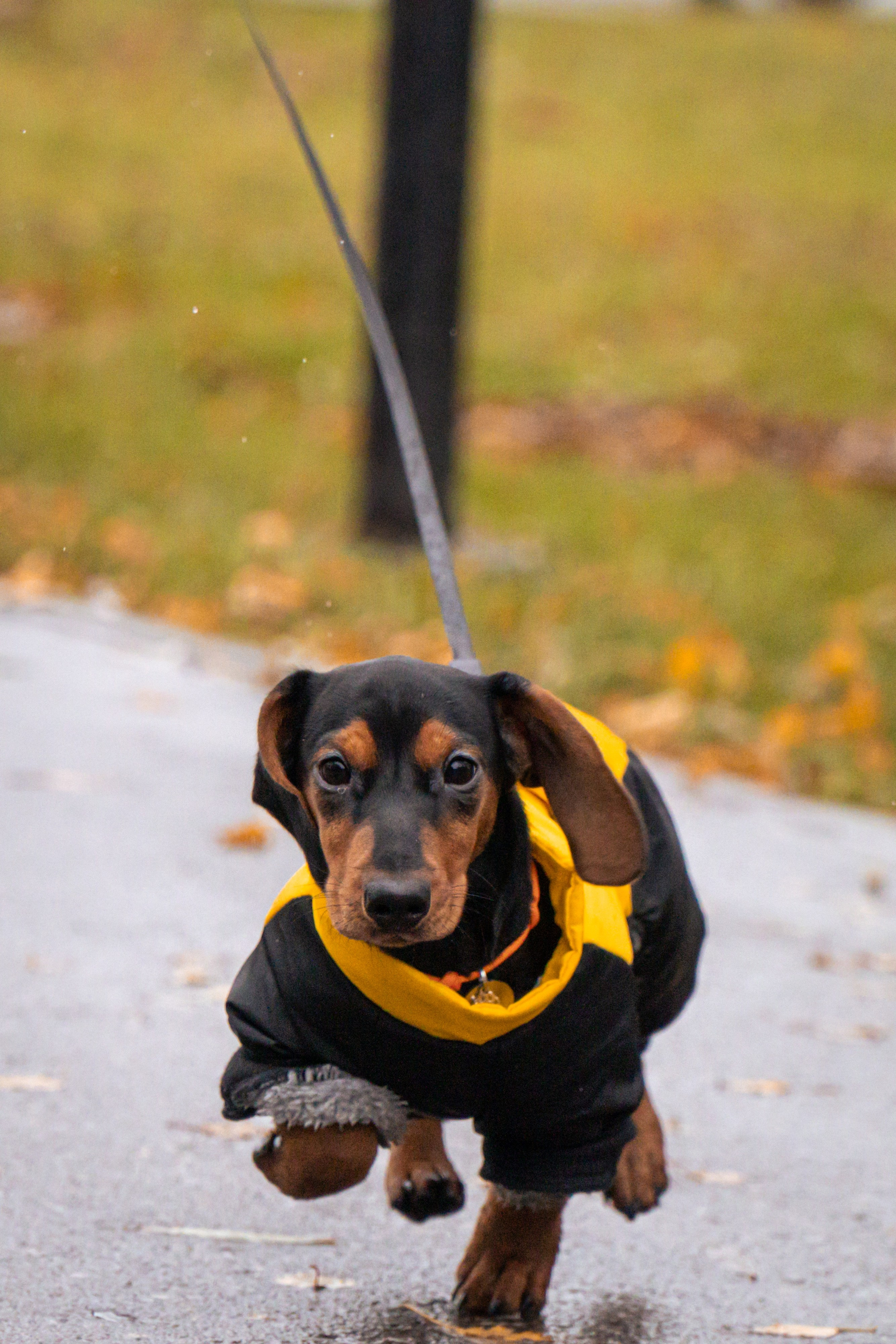 5 вёрст Реутов 16.11.2024. Роман Капилюшов. Бег. Фото. Видео. г. Люберцы